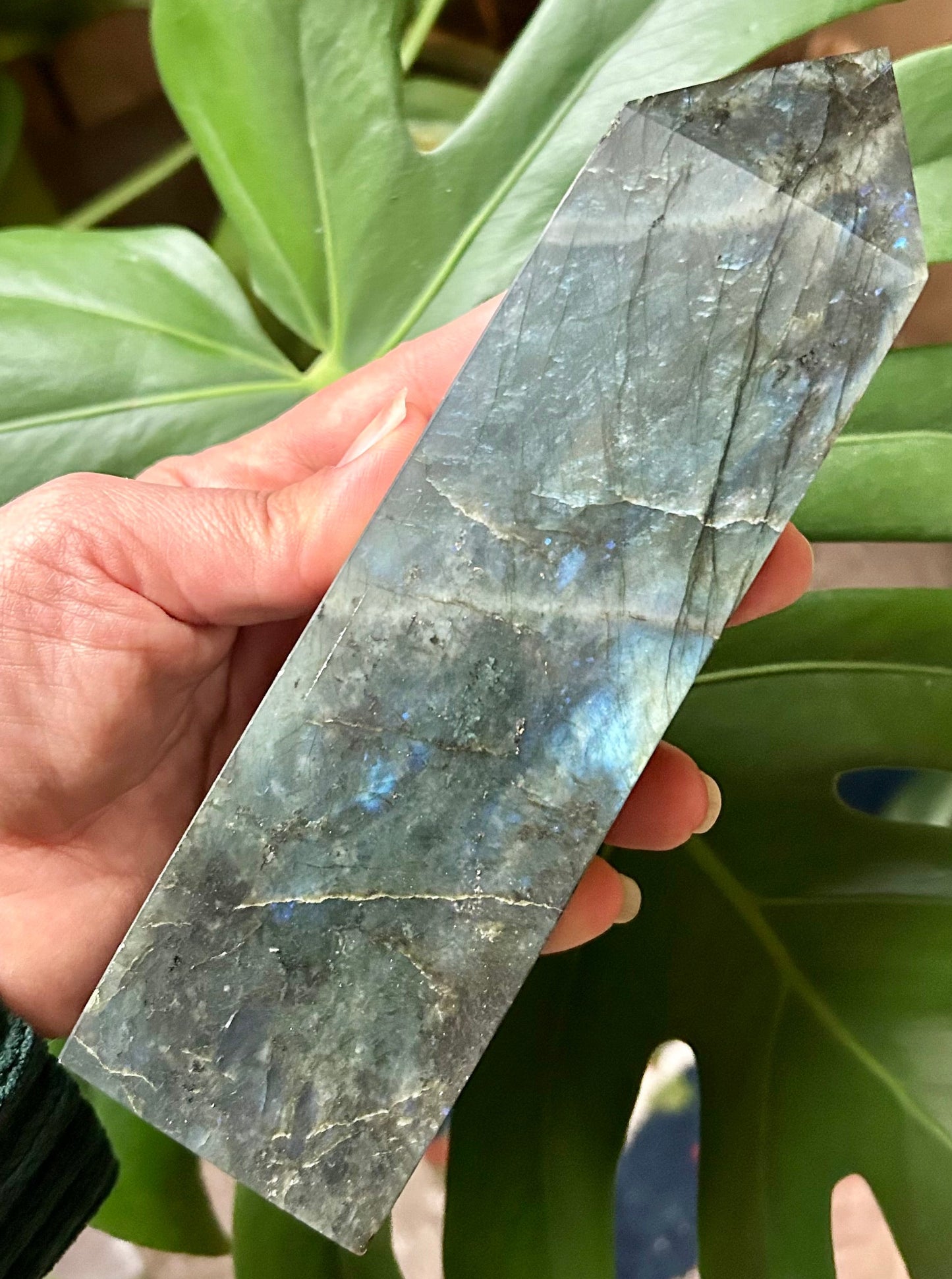 Person holding a polished crystal in front of green leaves