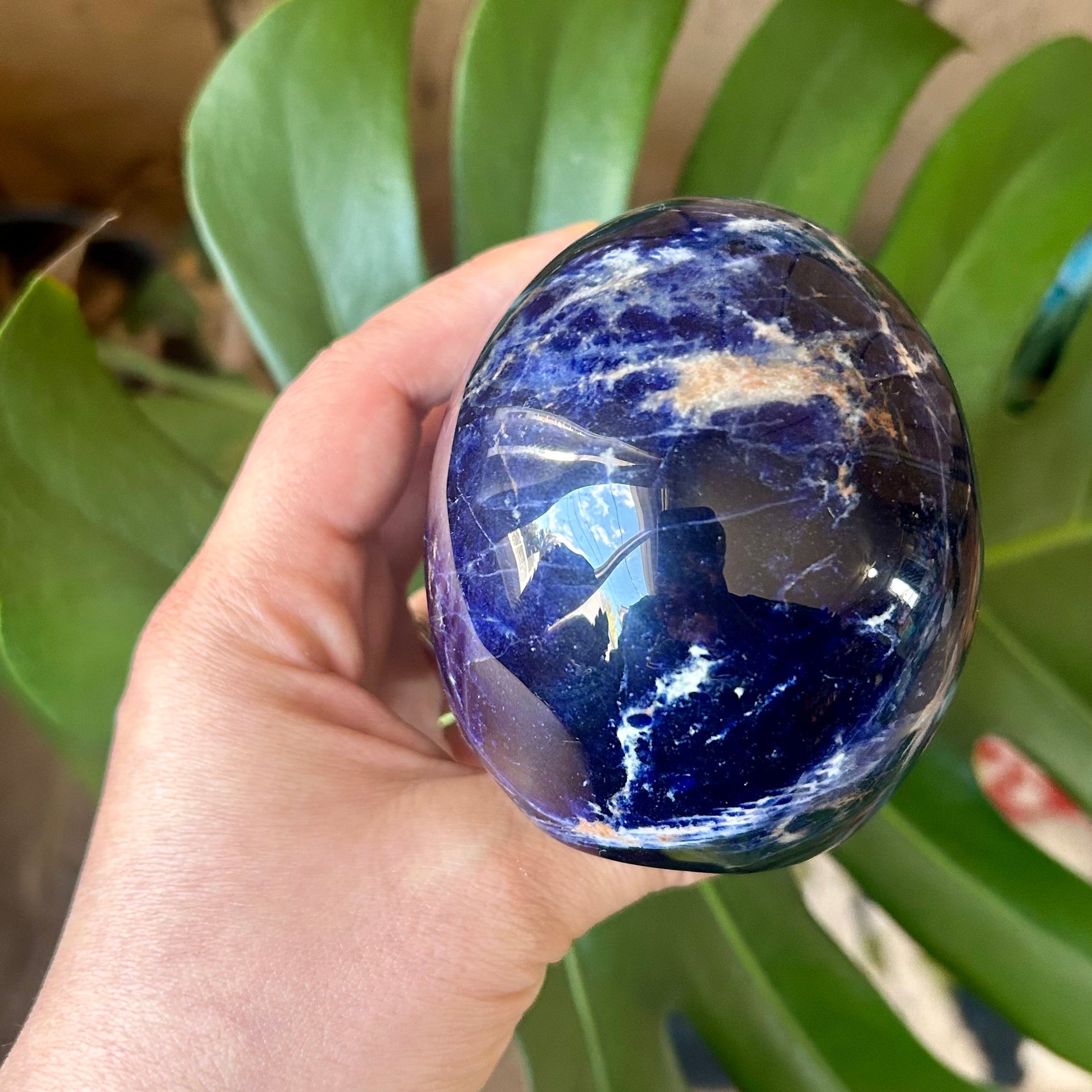 Hand holding a blue marbled sphere in front of green leaves