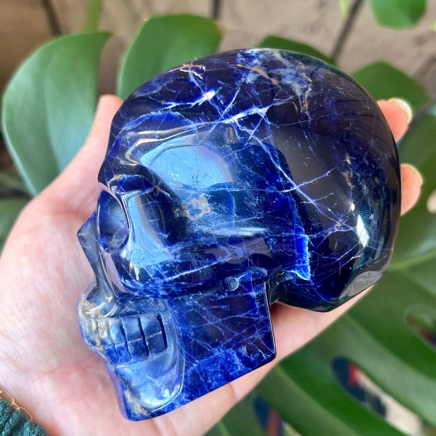 Blue crystal skull held in a hand with green leaves in the background