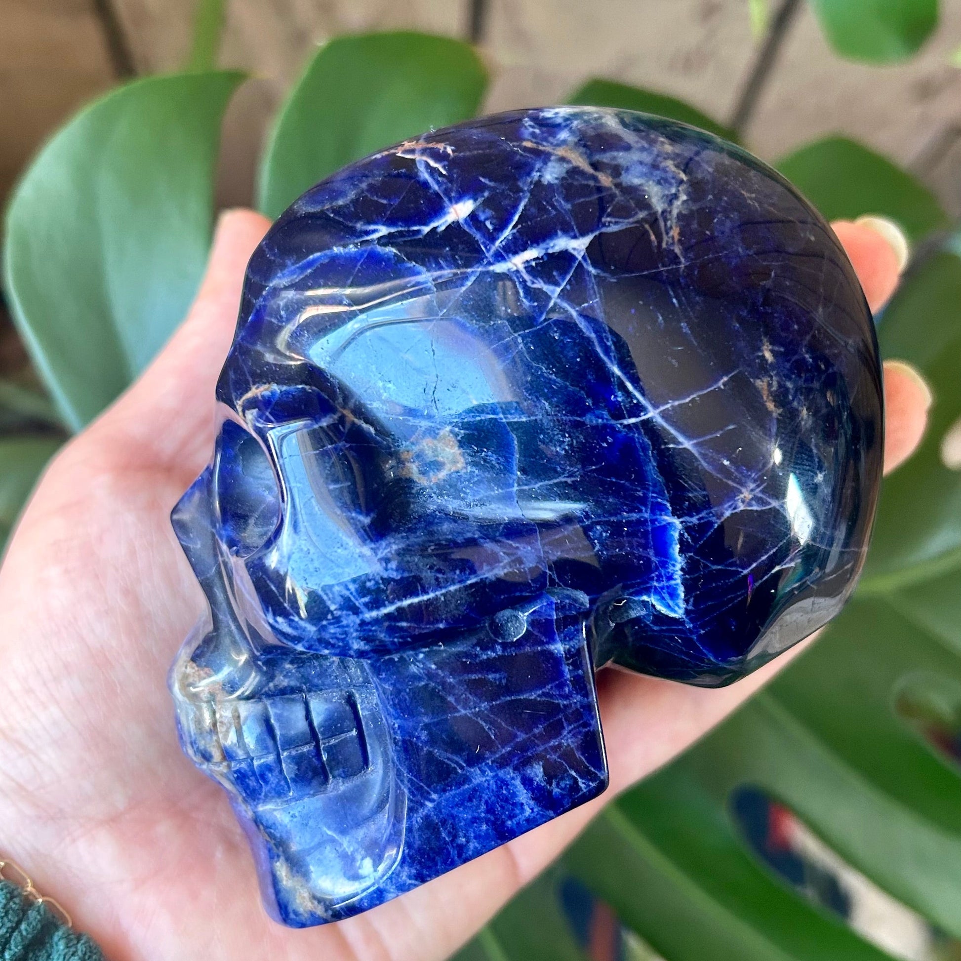 Blue crystal skull held in a hand with green leaves in the background