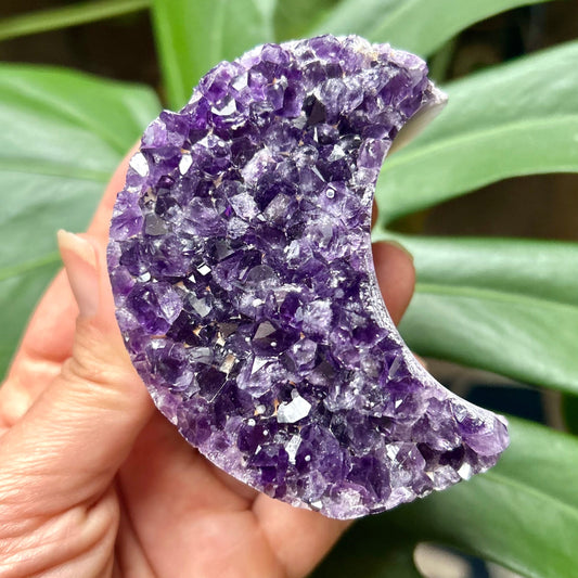 Hand holding a purple crystal rock with green leaves in the background