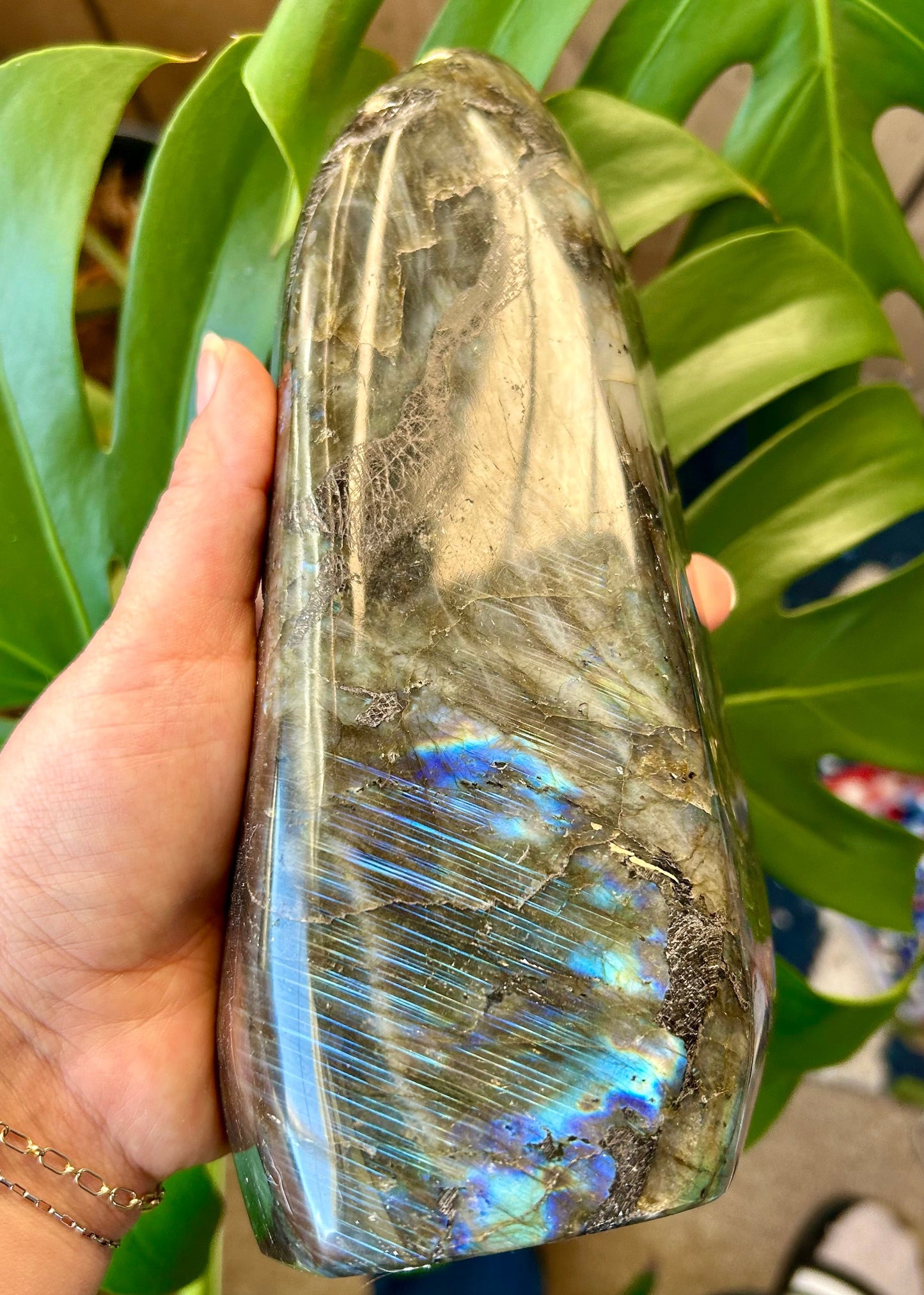 Hand holding a polished labradorite crystal with a reflective surface against a green leafy background