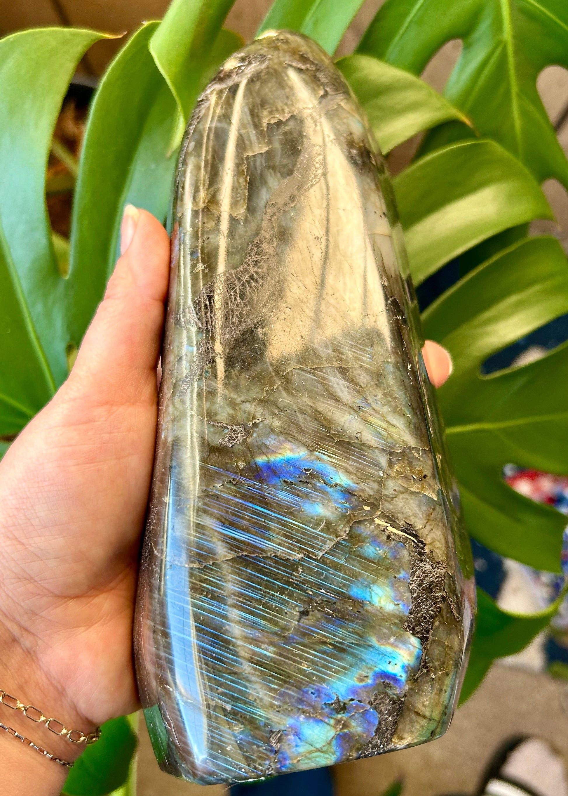 Hand holding a polished labradorite crystal with a reflective surface against a green leafy background