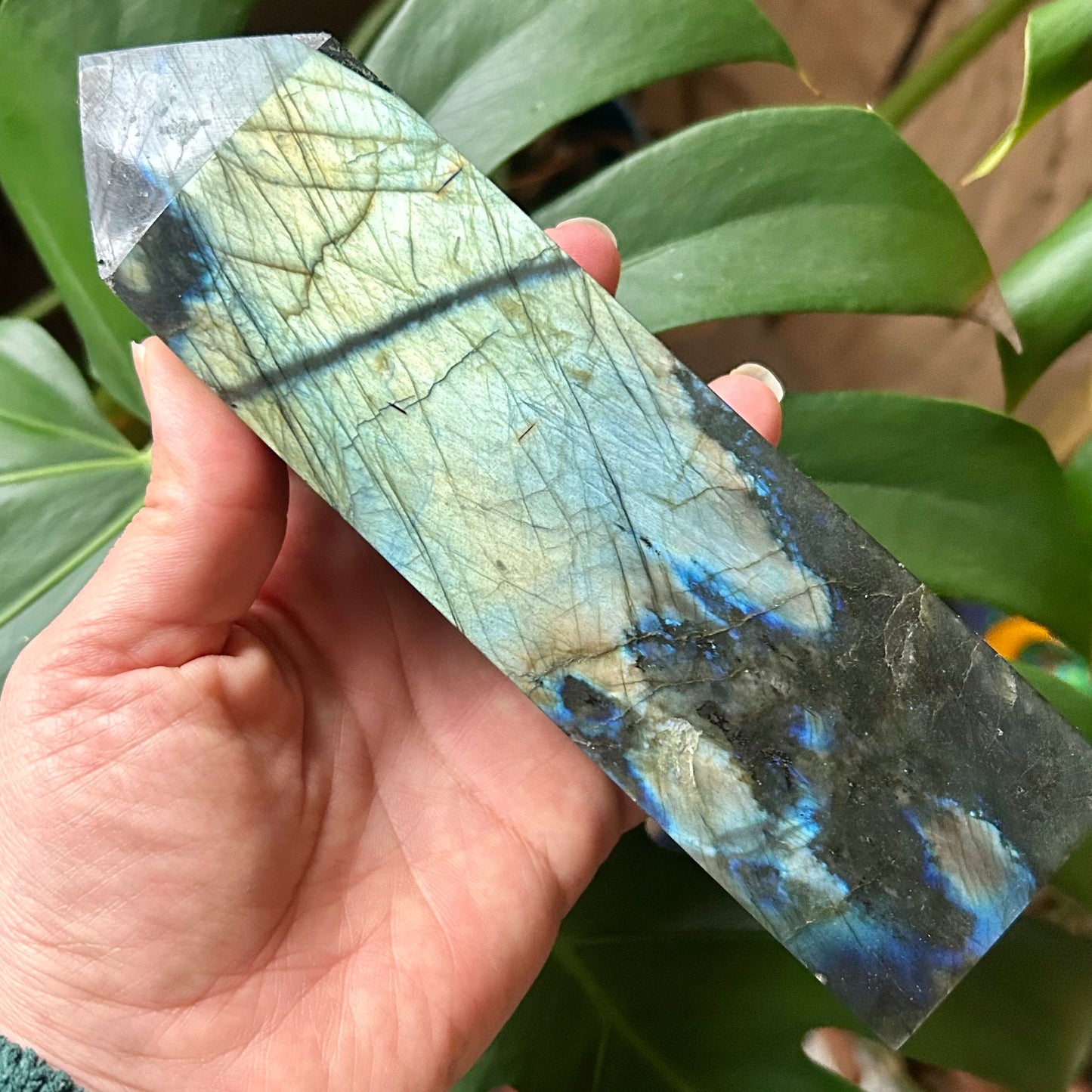 Hand holding a labradorite crystal with green leaves in the background