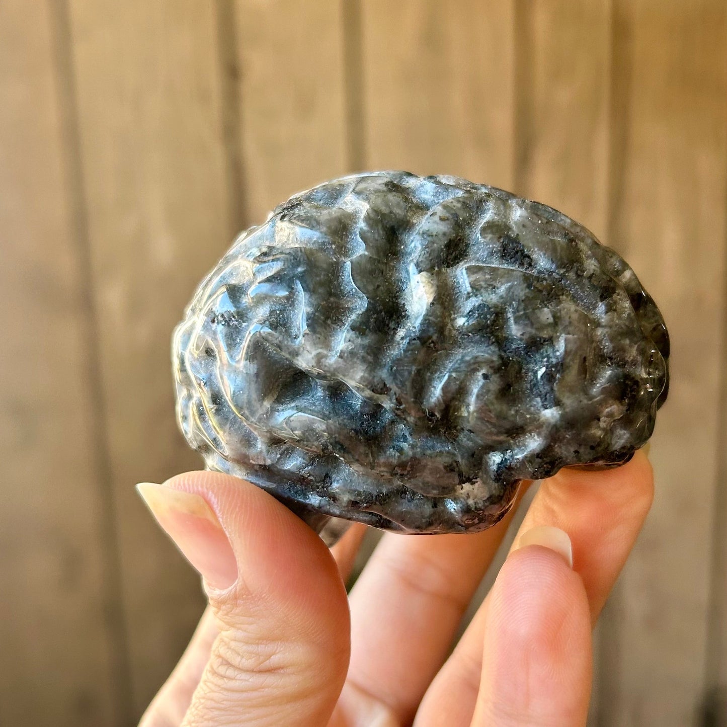 Hand holding a textured stone against a wooden background