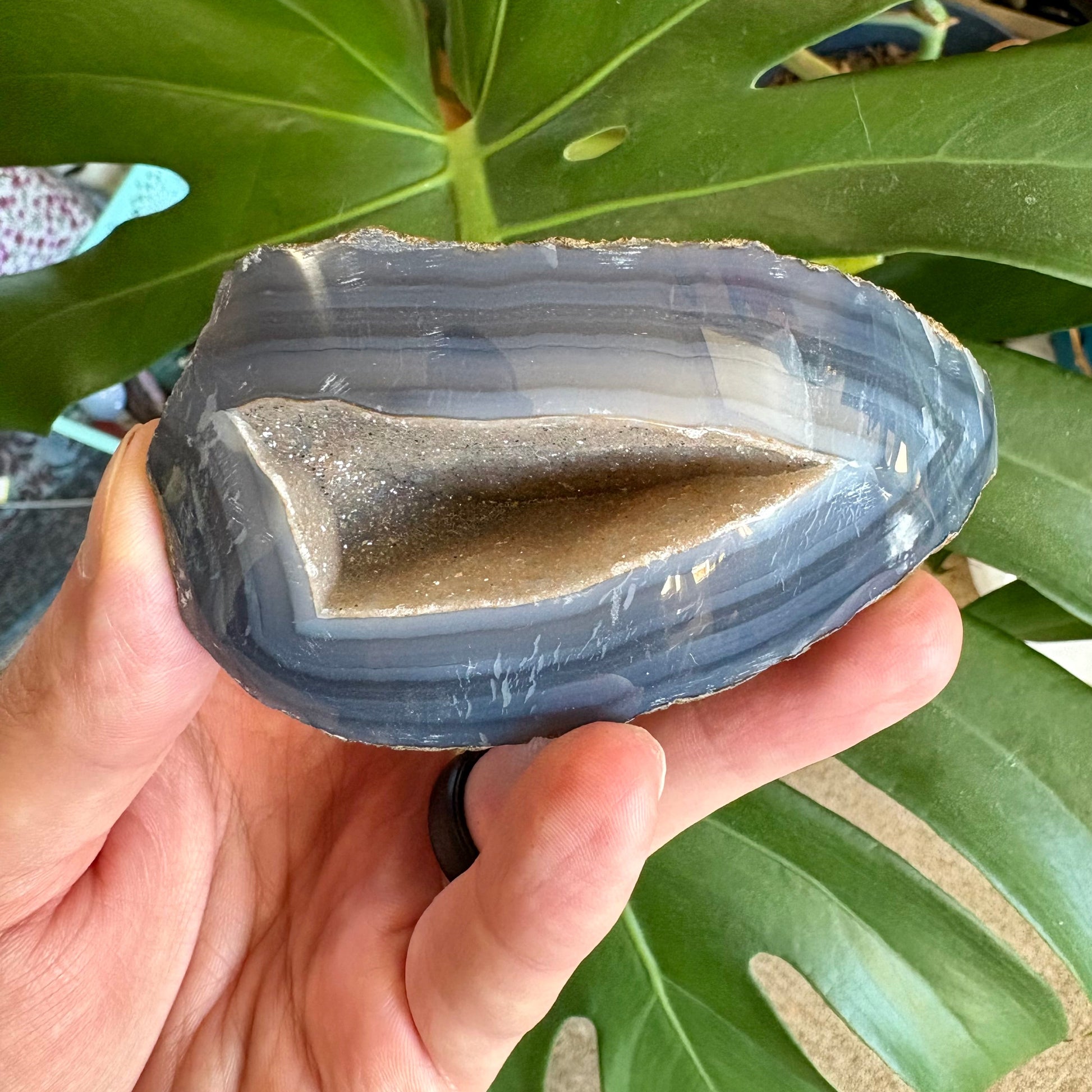 Hand holding a blue agate stone with green leaves in the background