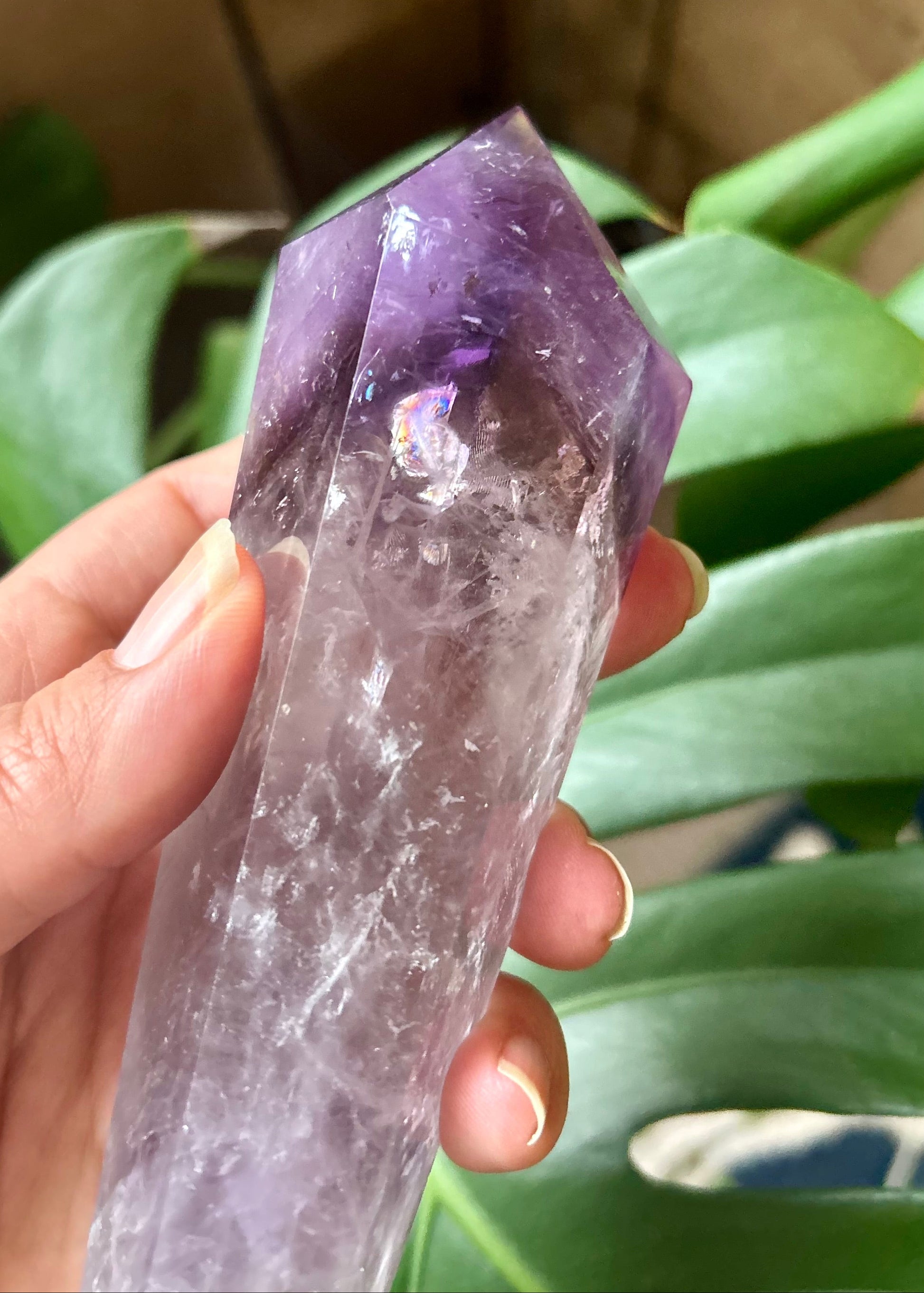 Hand holding a purple crystal with green leaves in the background