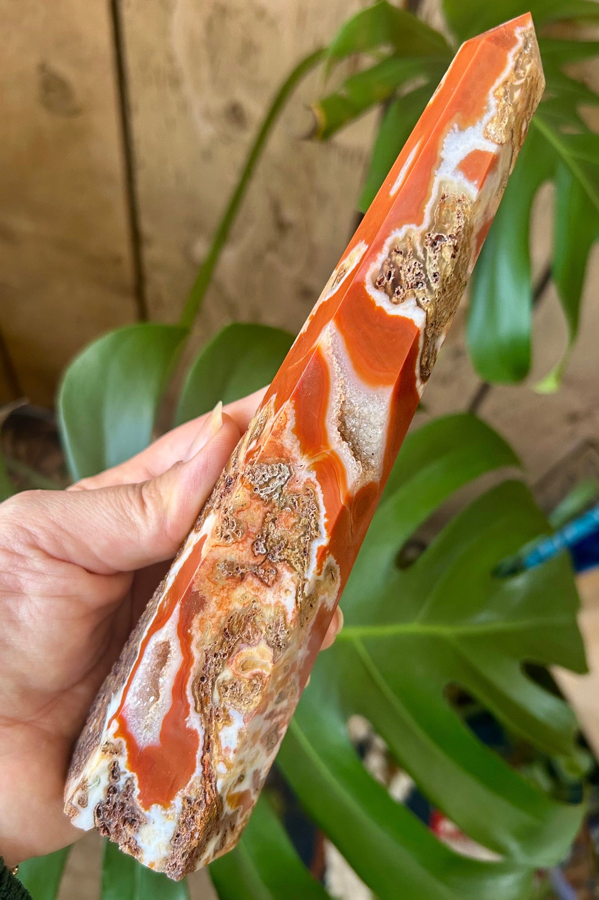 Hand holding a piece of polished stone with orange and white patterns against a blurred green plant background
