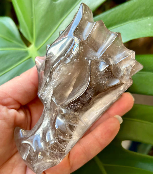 Hand holding a crystal rock with green leaves in the background