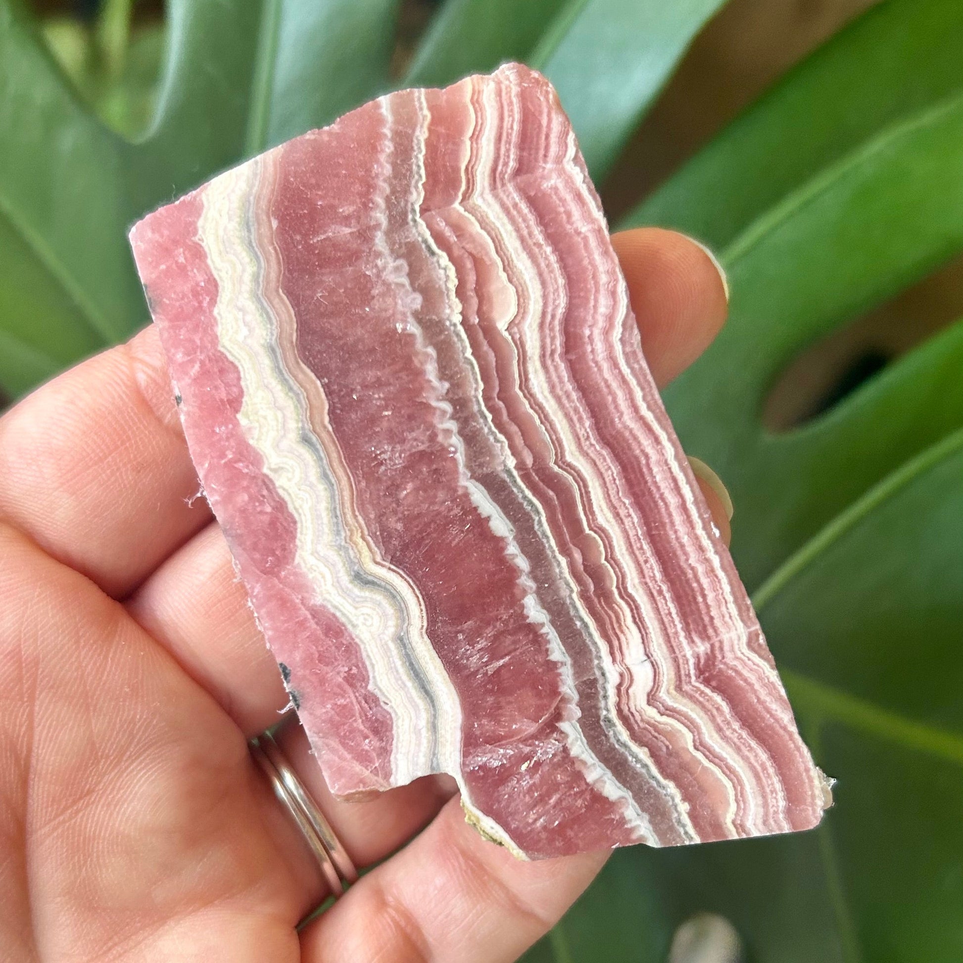 Hand holding a pink and white striped stone with green foliage in the background