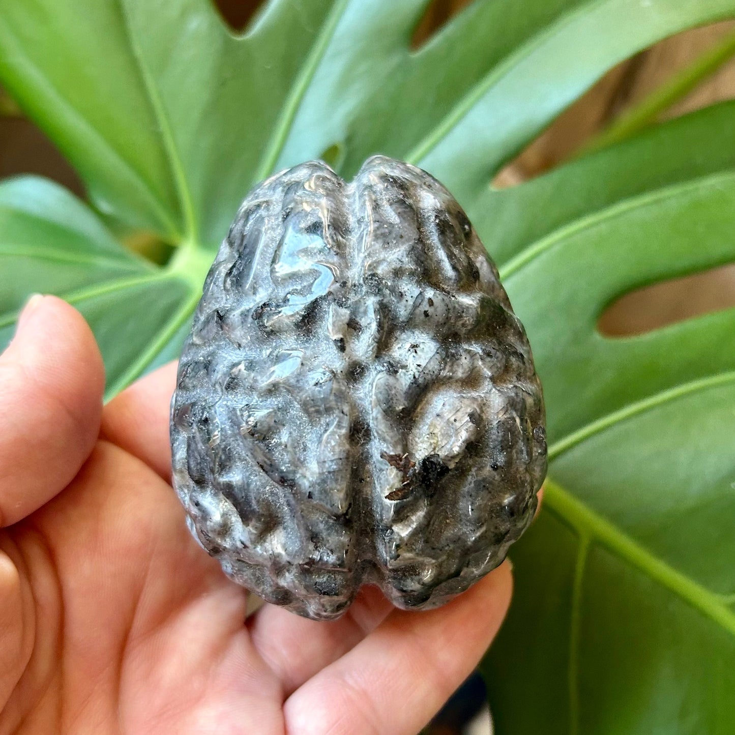 Hand holding a textured stone with green leaves in the background