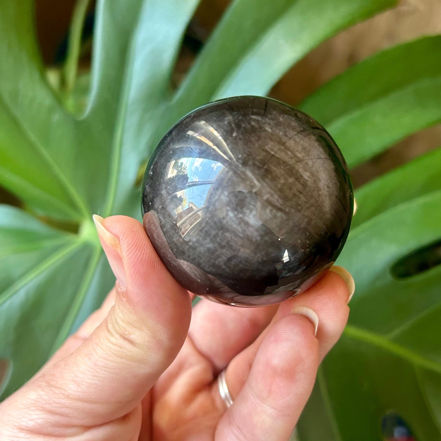 Hand holding a dark stone with a star-like pattern against a green leafy background