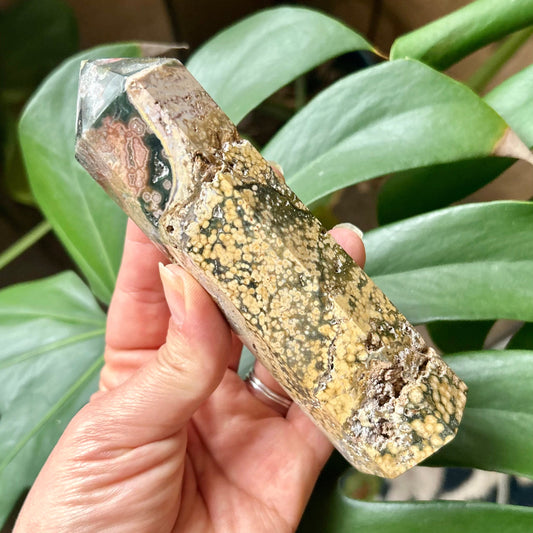 Hand holding a crystal with a plant in the background