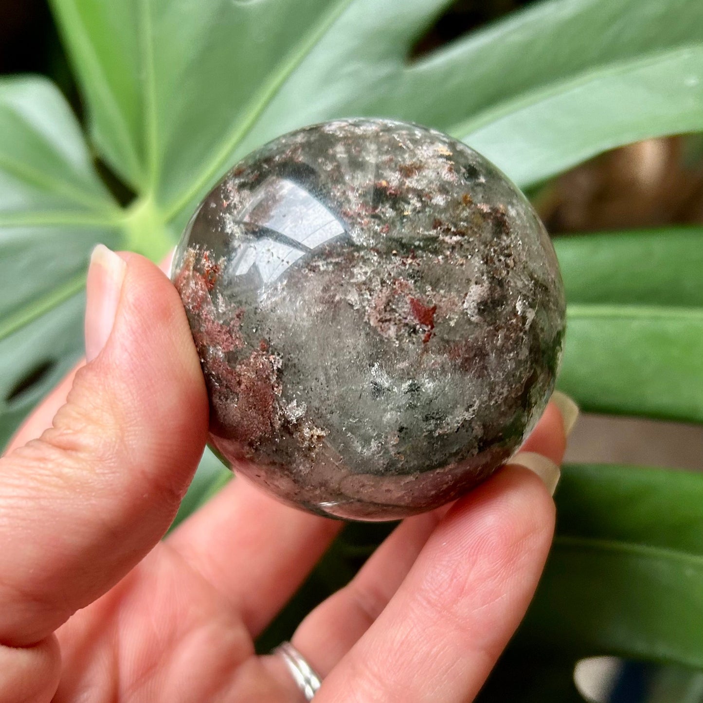 Hand holding a polished crystal ball with a green leafy background