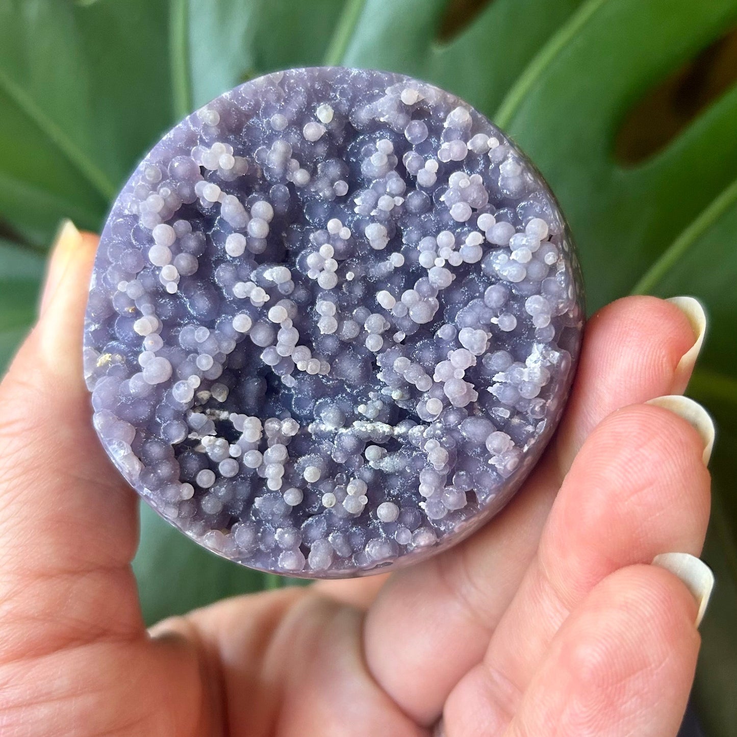 Round purple crystal stone held in a hand with a green leafy background