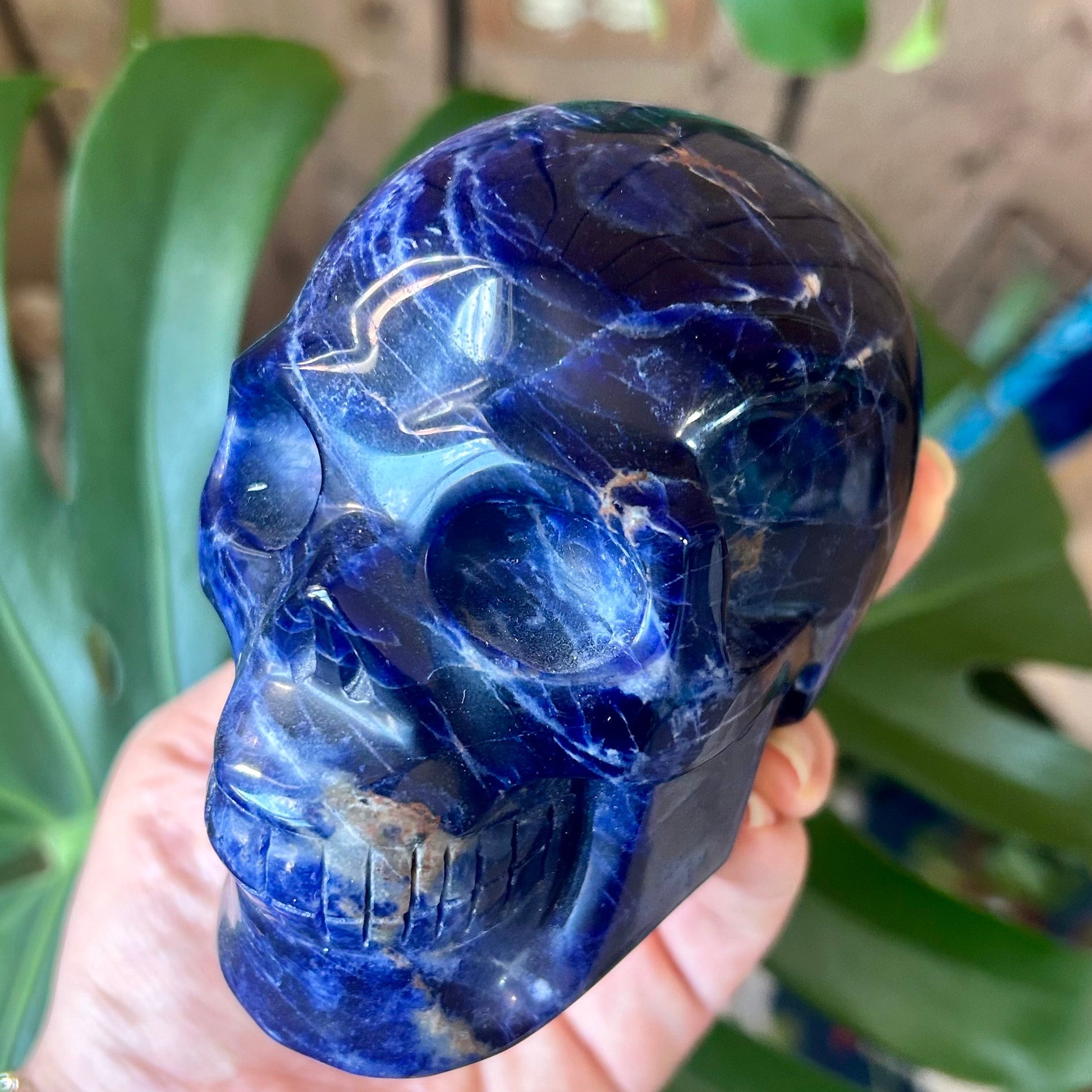 Blue crystal skull held by a hand with greenery in the background