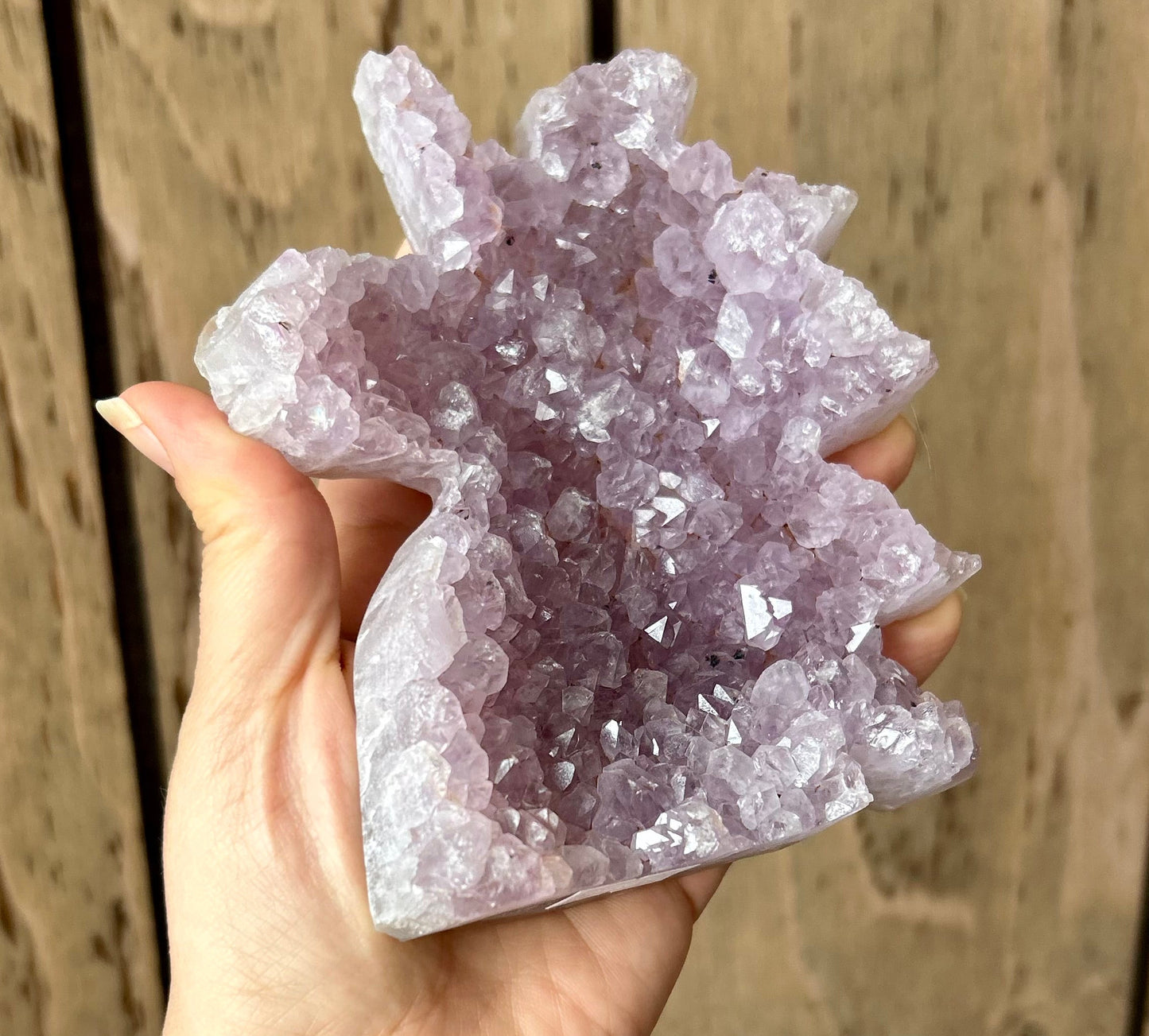 Amethyst Druzy Unicorn Geode Carving
