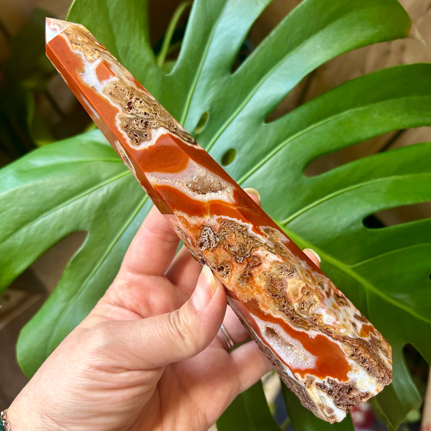 Hand holding a polished agate stone with a green leafy background