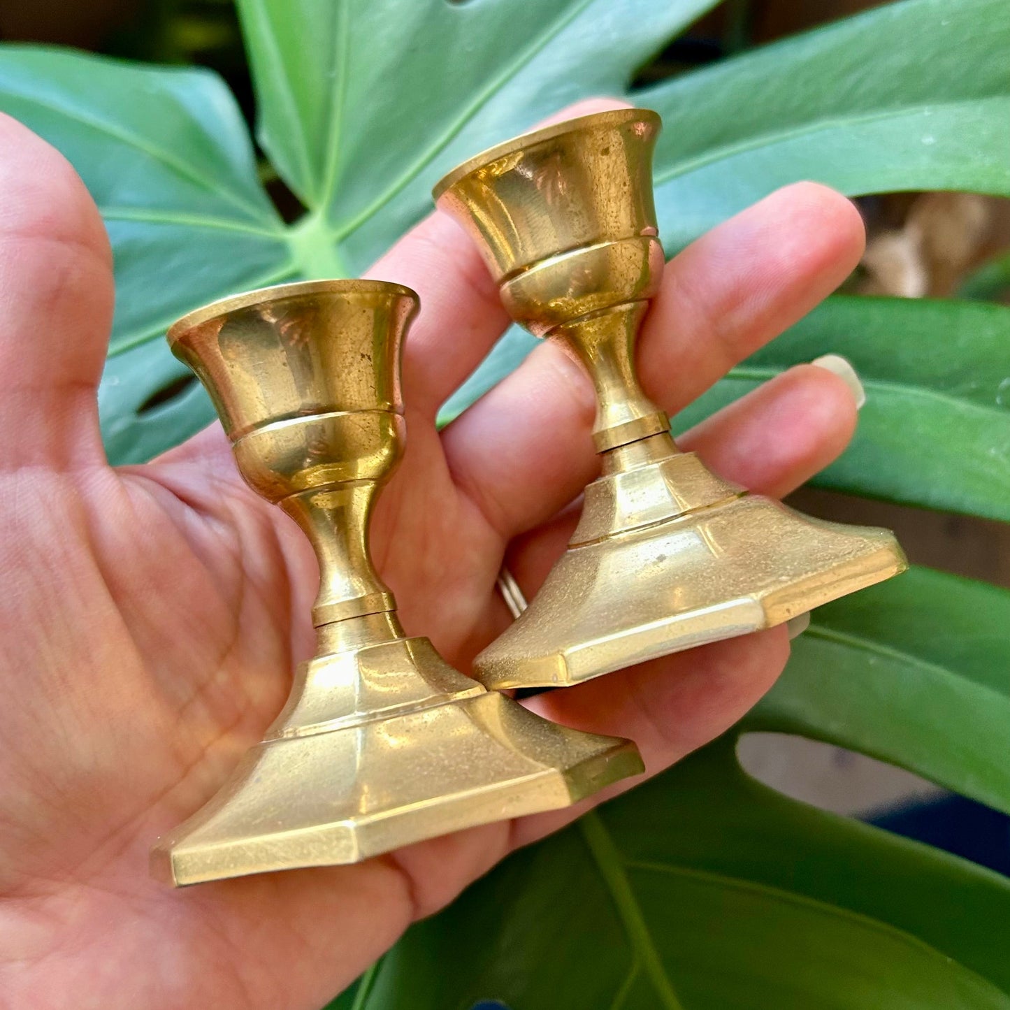 Hand holding two small gold candle holders with green leaves in the background