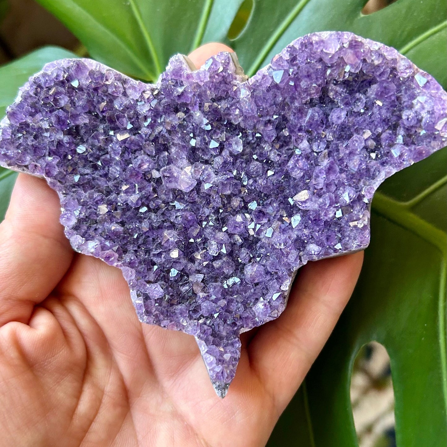 Hand holding a purple crystal rock with green leaves in the background
