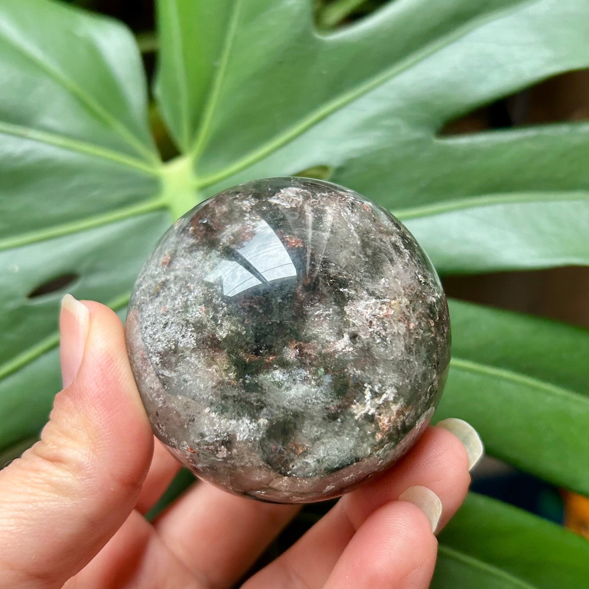 Hand holding a crystal ball with green leaves in the background