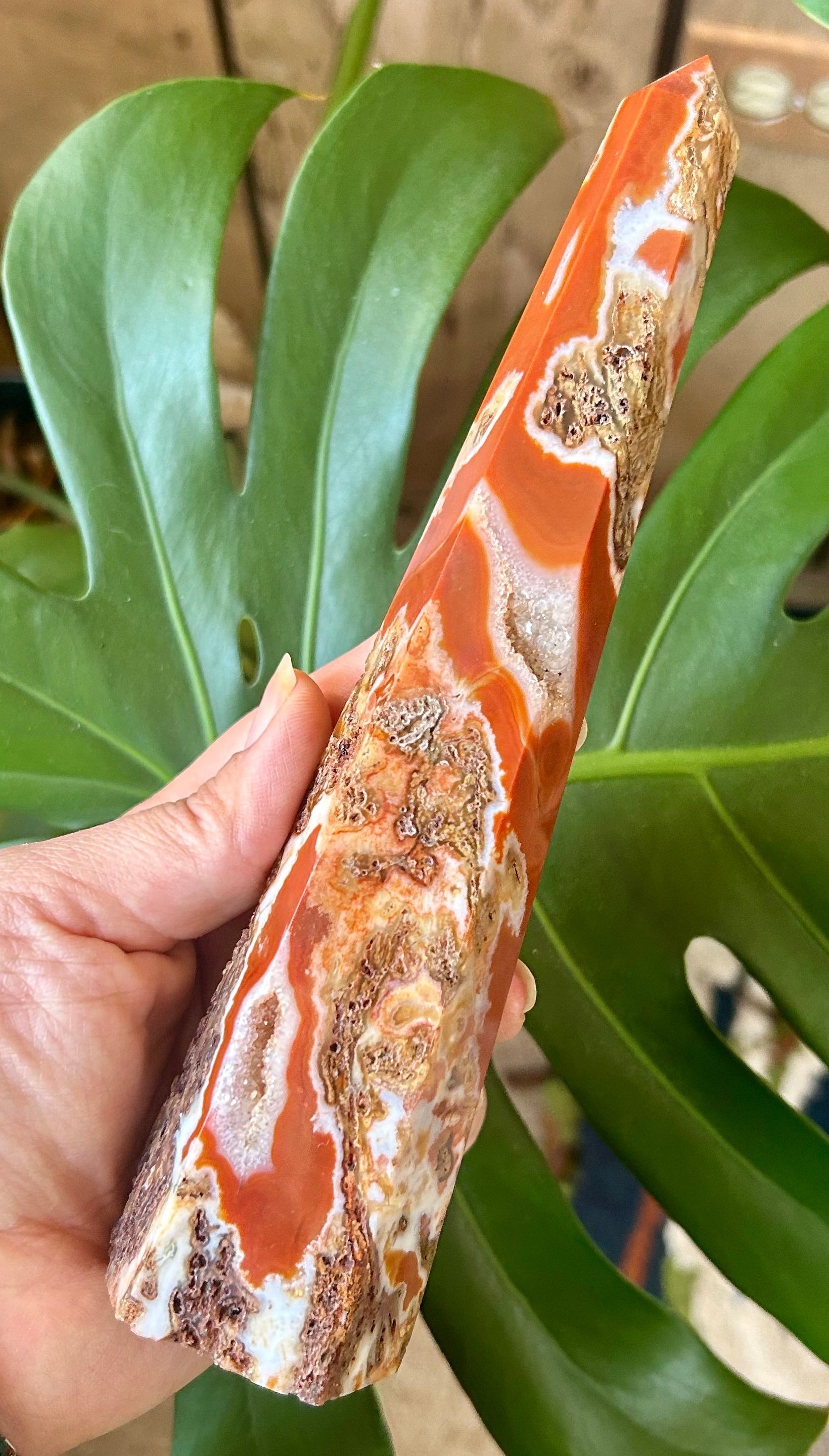 Hand holding a large, polished stone with a natural pattern against a green plant background