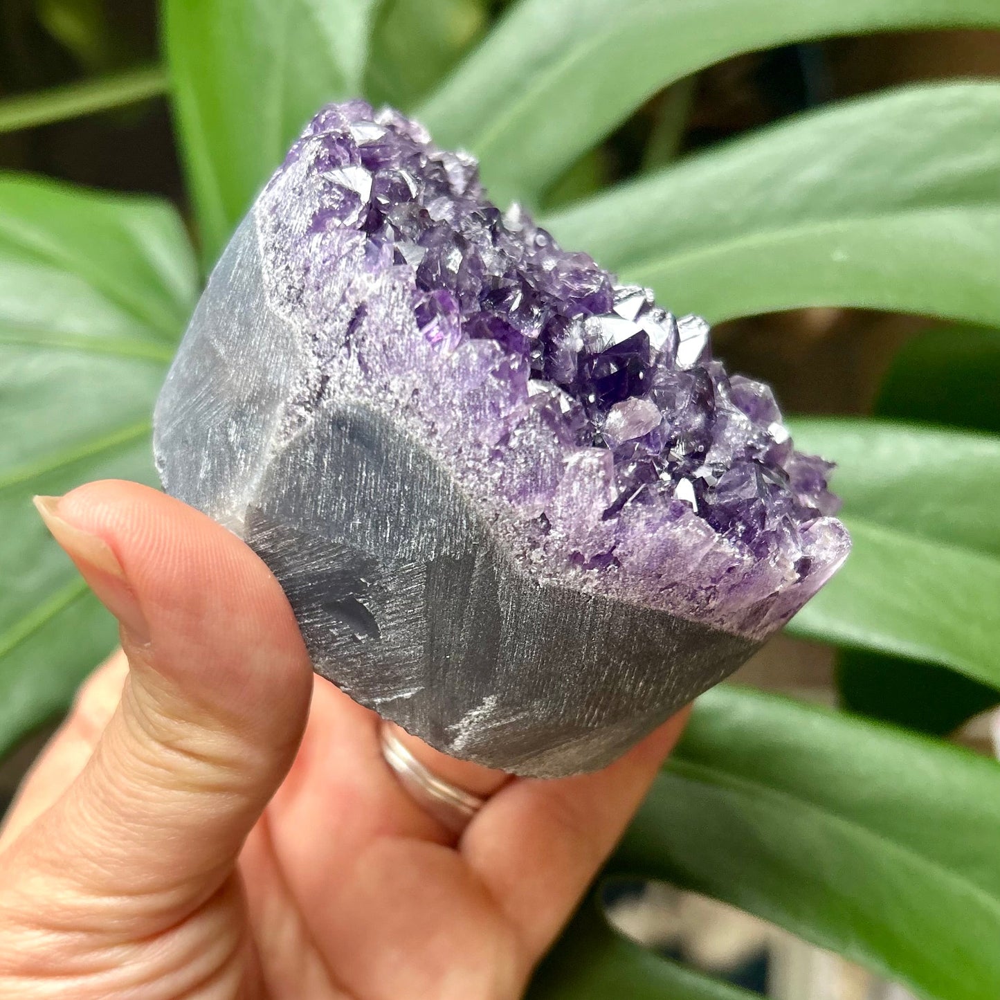 Amethyst crystal held in a hand with green leaves in the background