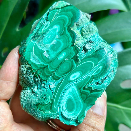 Green mineral stone held in a hand with a blurred green leafy background