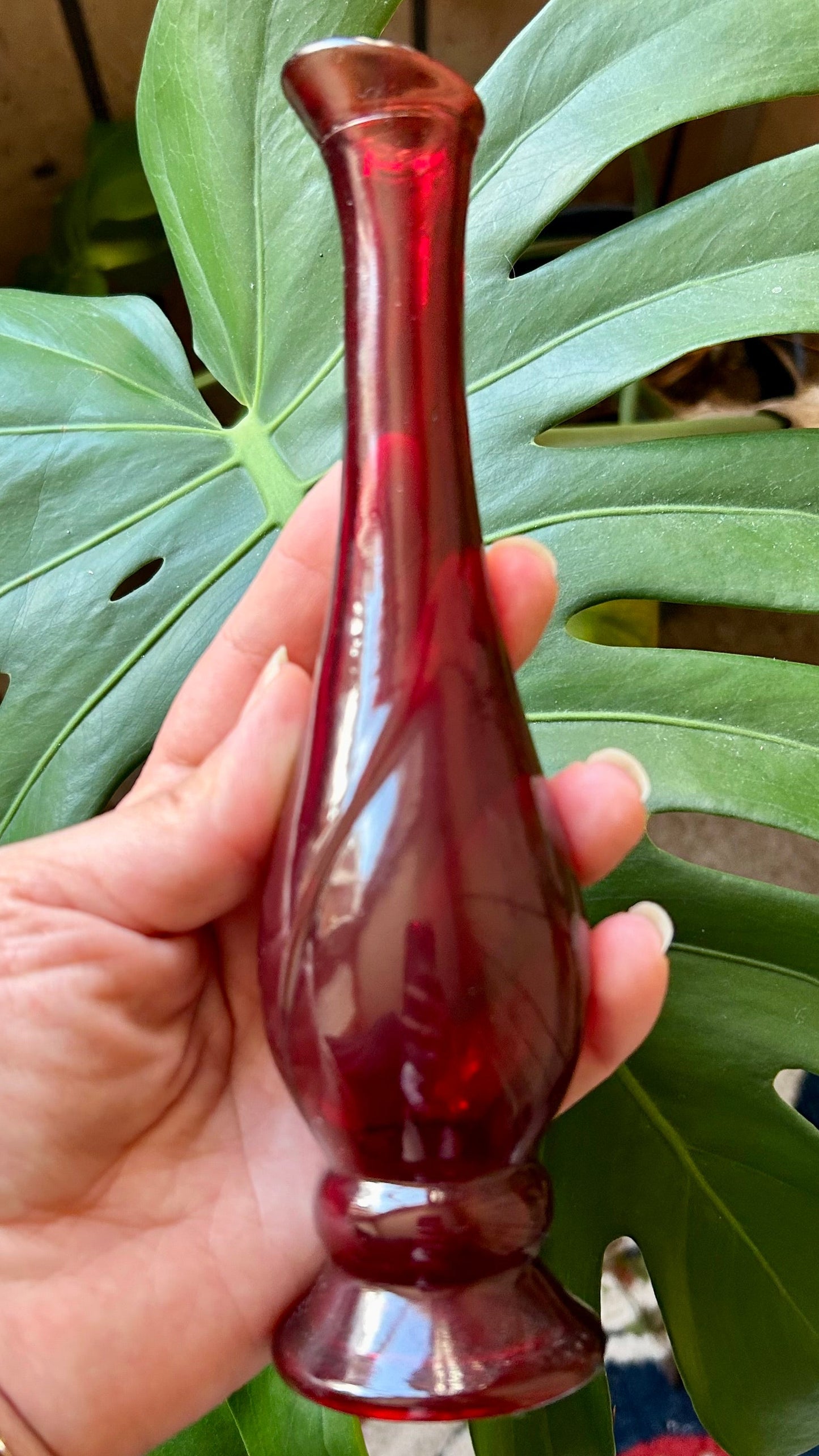 Hand holding a red glass vase with green leaves in the background