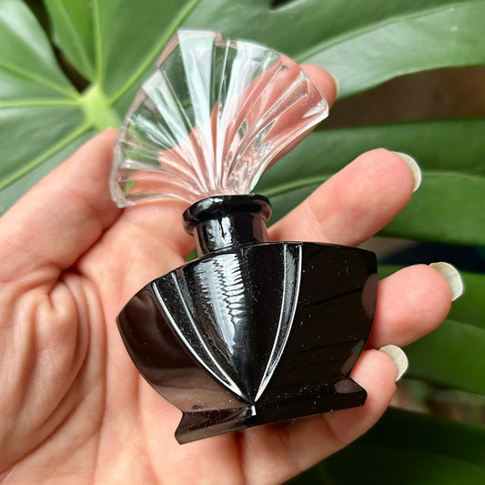 Hand holding a black and clear perfume bottle against a green leafy background