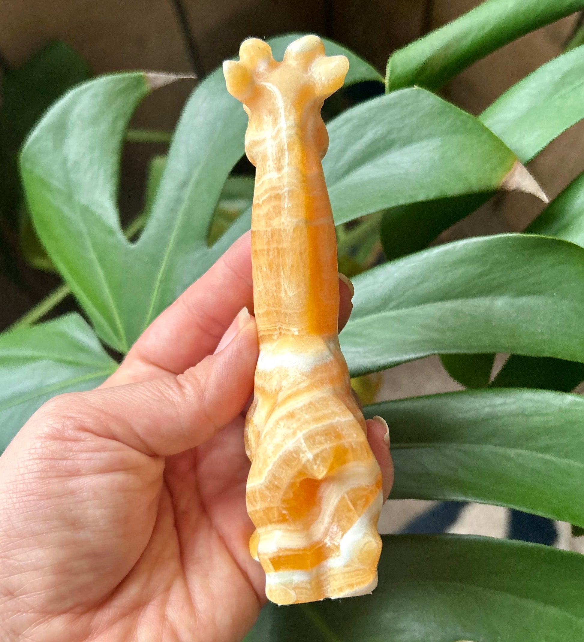 Hand holding a small figurine in front of green leaves