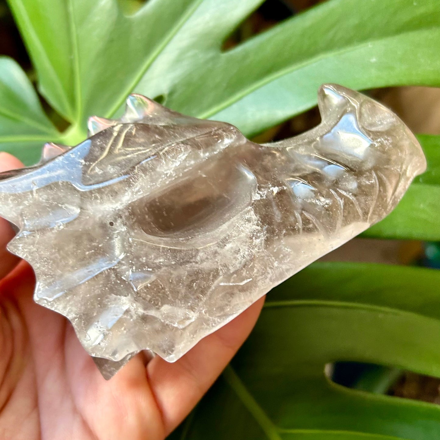 Crystal leaf-shaped object held in front of a green plant
