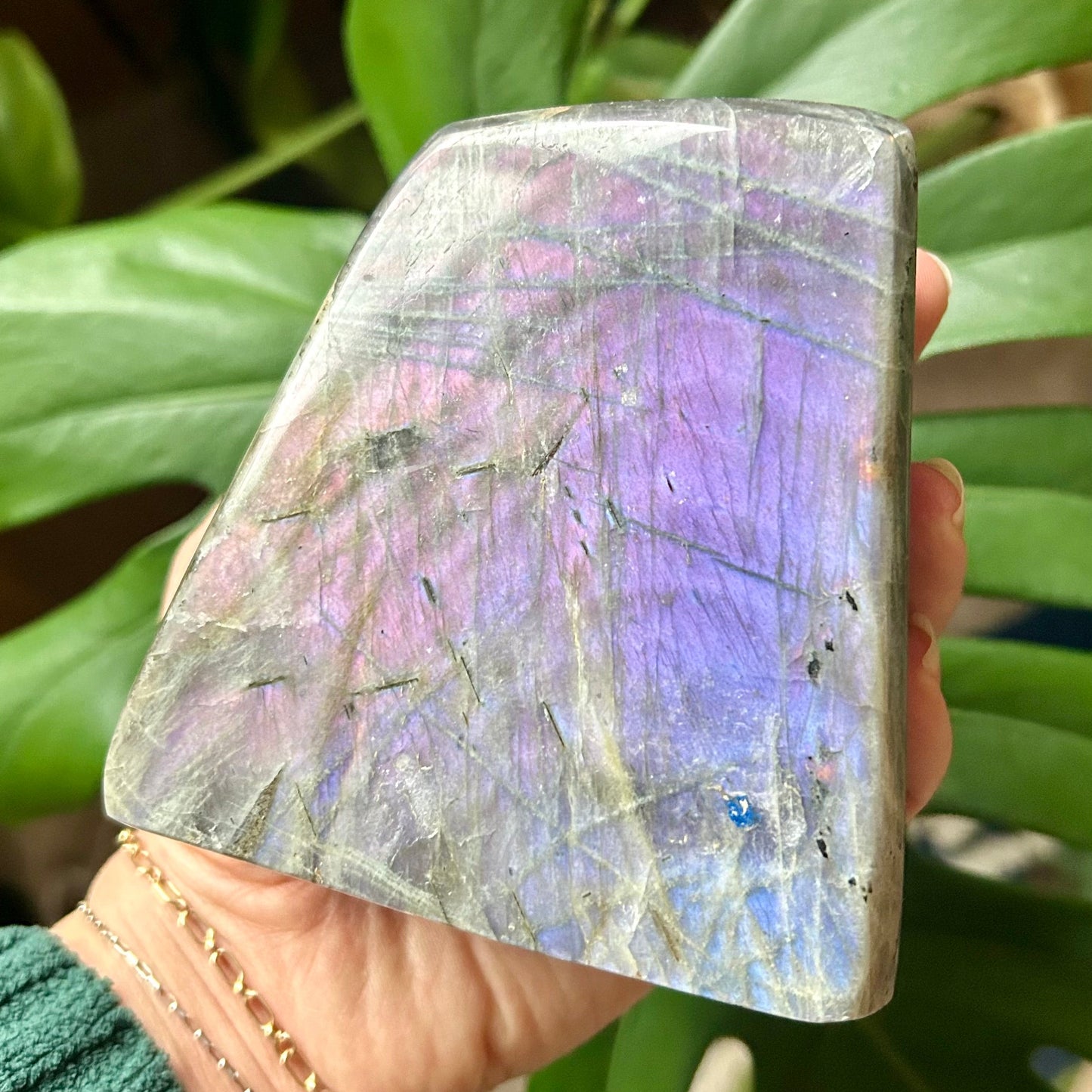 Hand holding a colorful crystal against a blurred green leafy background