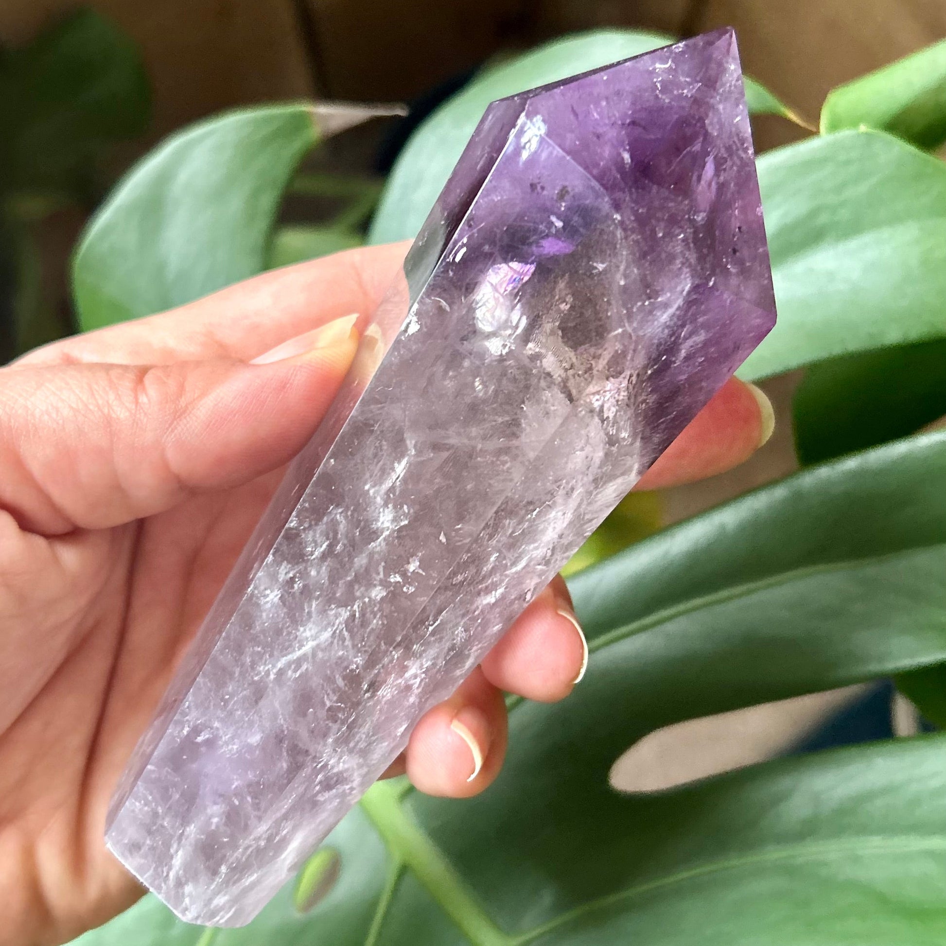 Hand holding a purple crystal against a green leafy background
