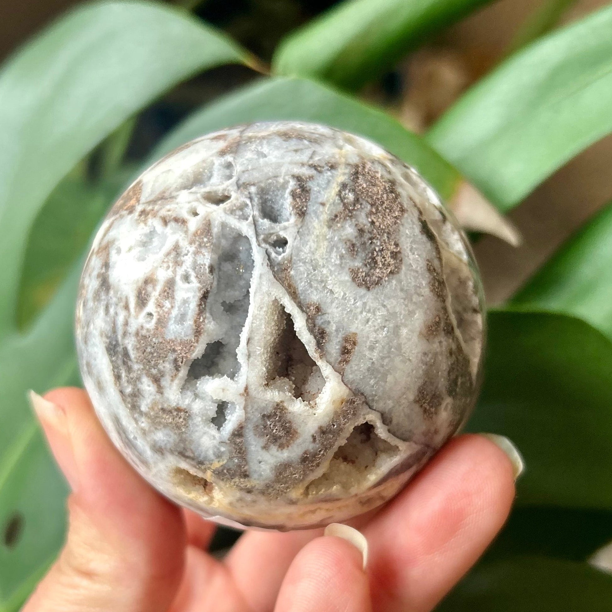 Person holding a round, textured object with green leaves in the background