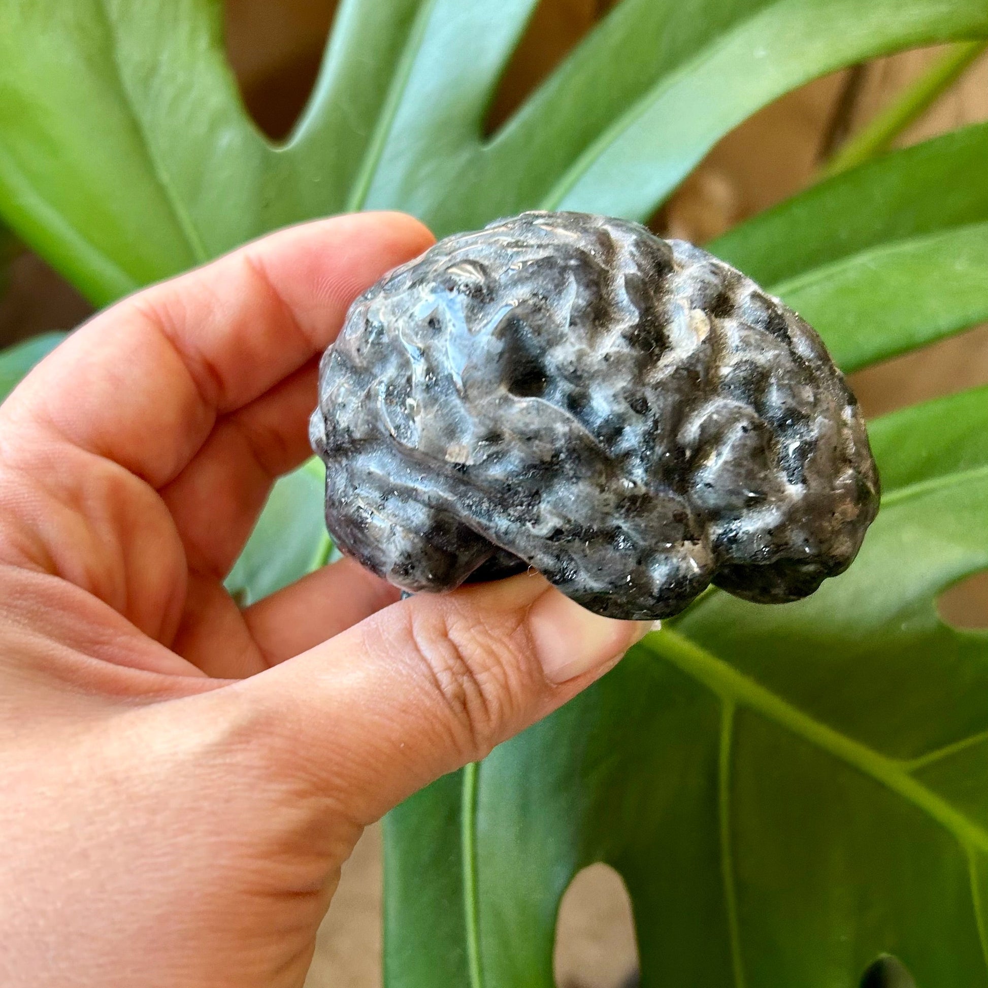 Hand holding a brain-shaped stone in front of a green plant