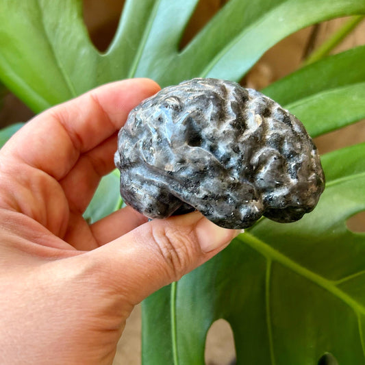 Hand holding a brain-shaped stone in front of a green plant