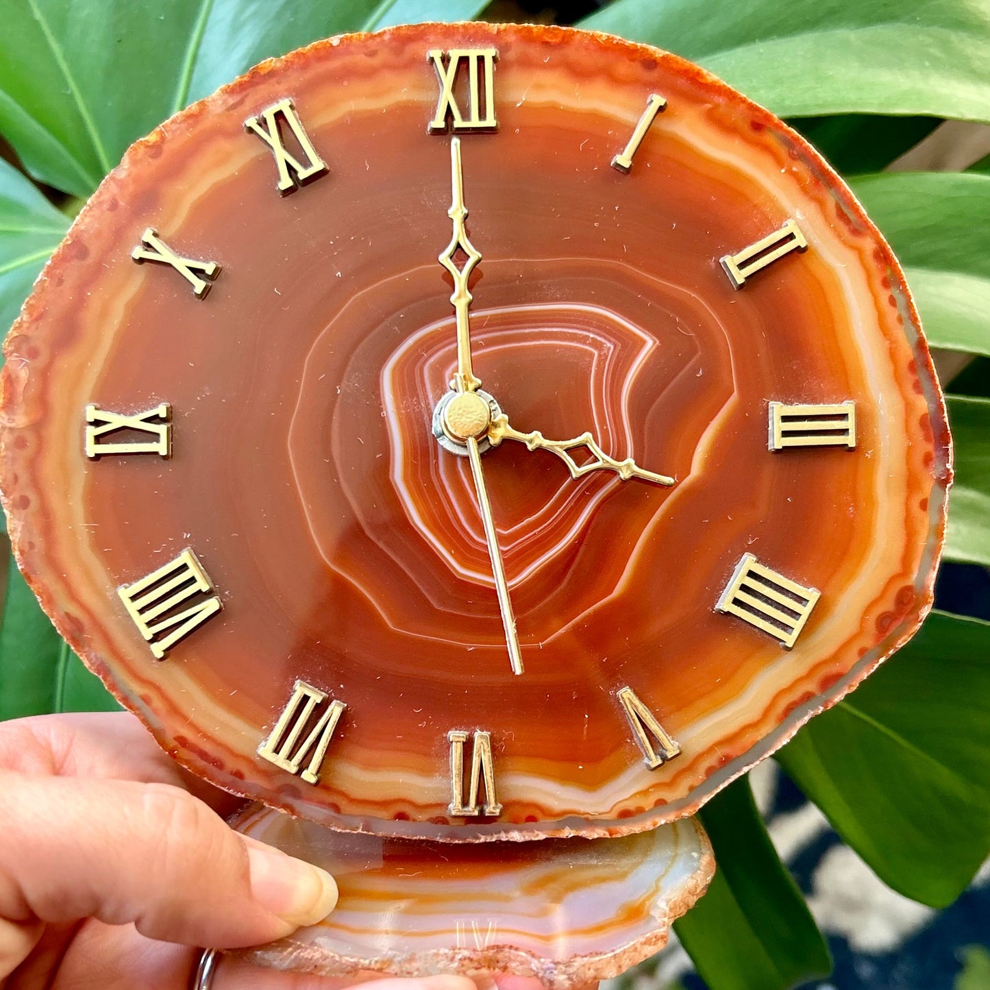 Agate clock with Roman numerals held by a hand against a leafy background