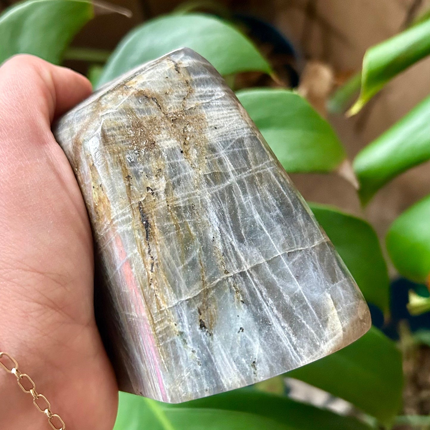 Hand holding a polished crystal with green foliage in the background
