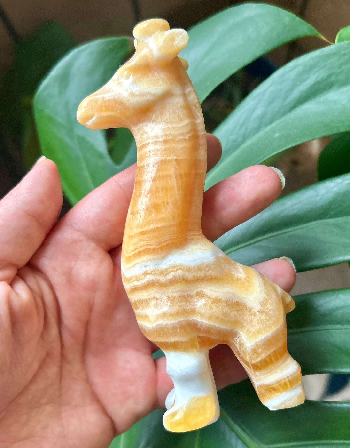 Hand holding a small giraffe figurine with a green leafy background