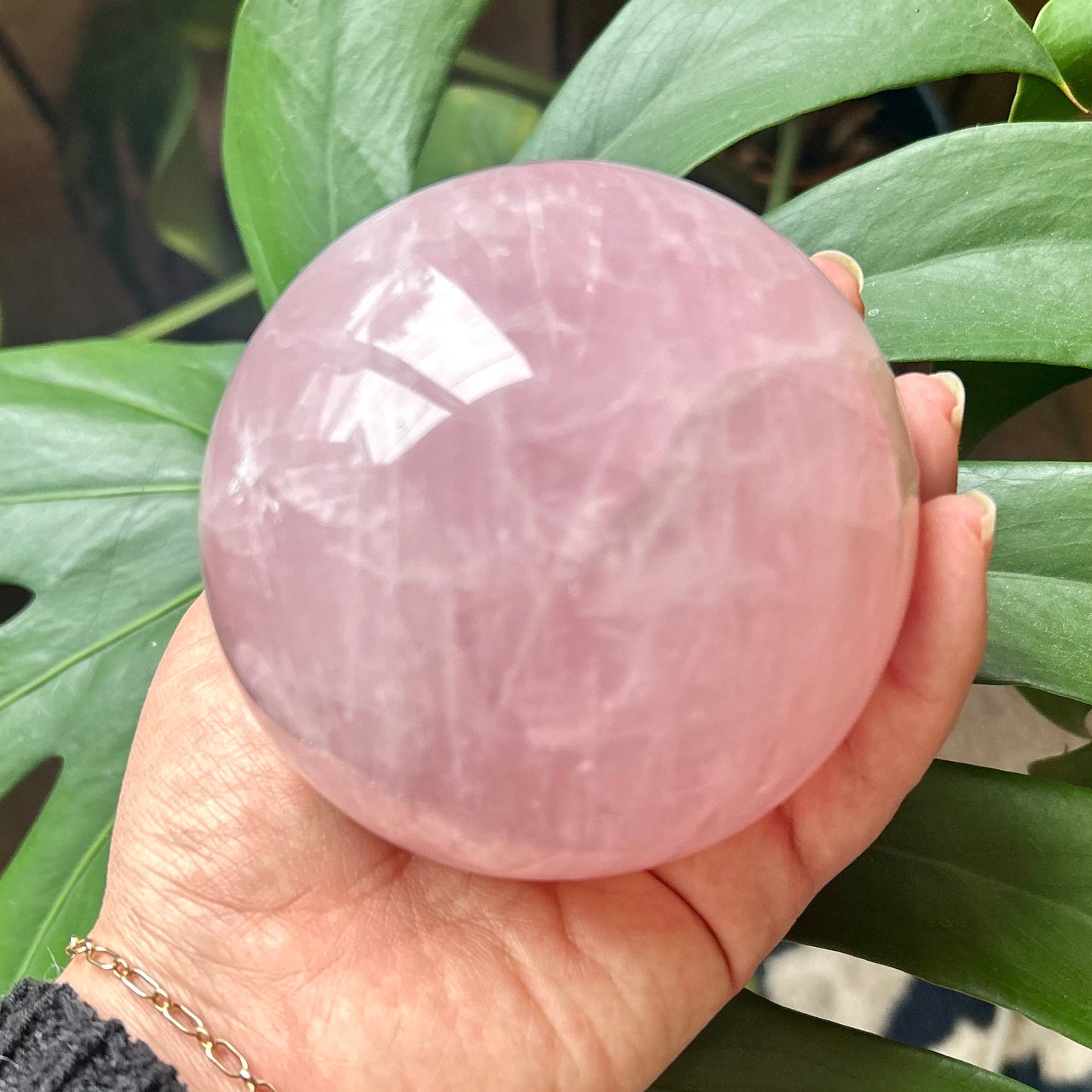 Hand holding a pink crystal ball with green leaves in the background