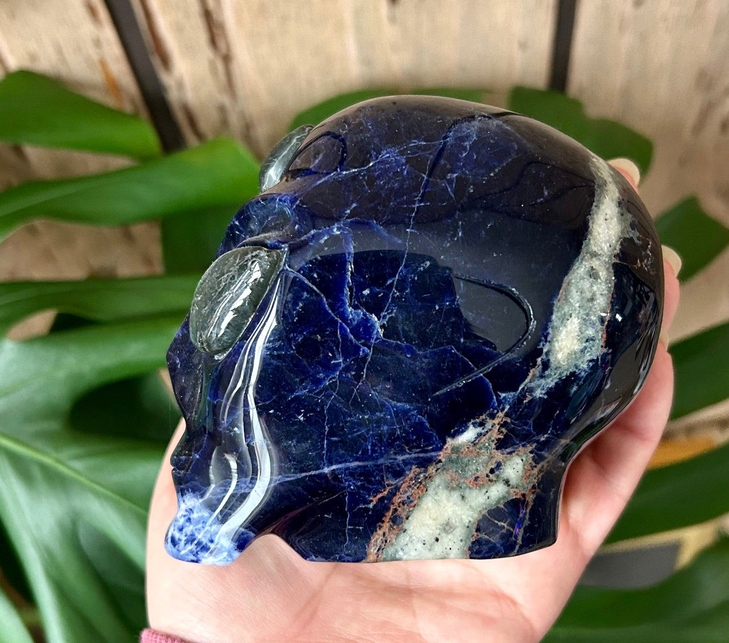 Sodalite Alien Head with Labradorite Eyes
