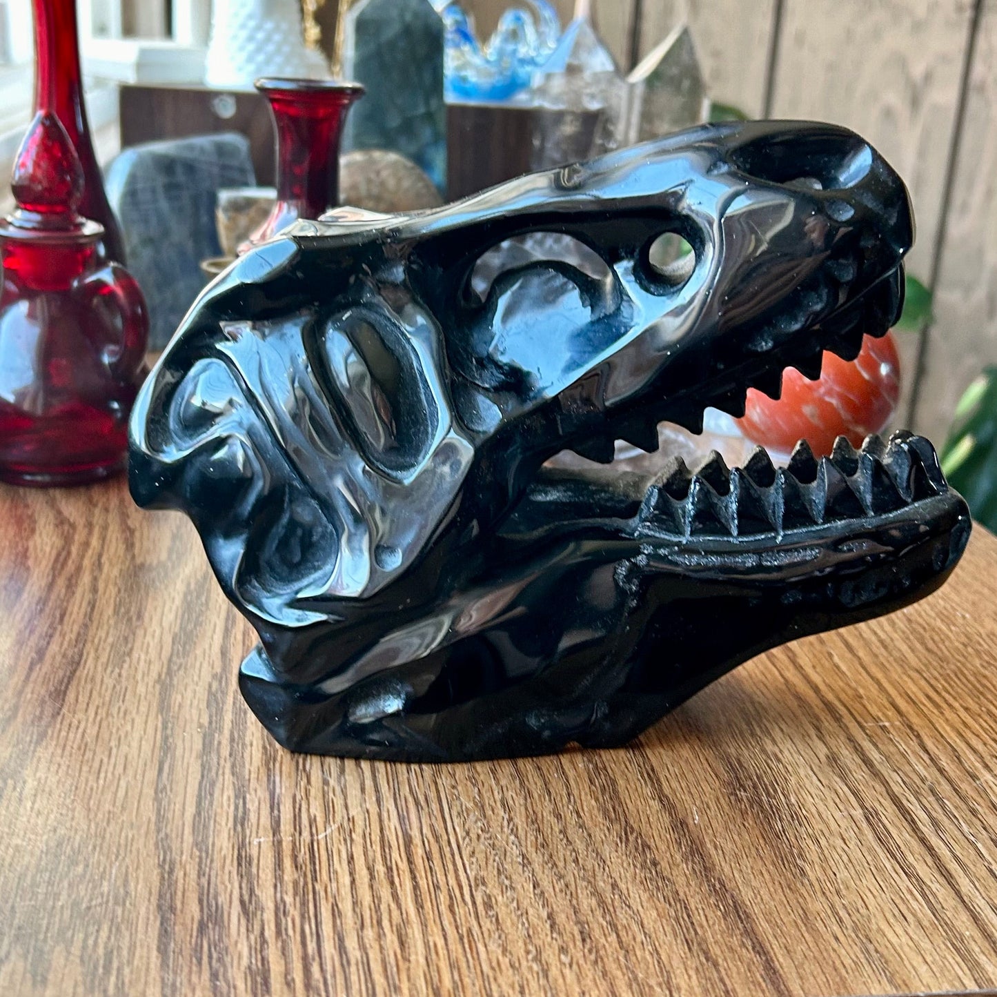 Black dinosaur skull model on a wooden surface with a blurred background