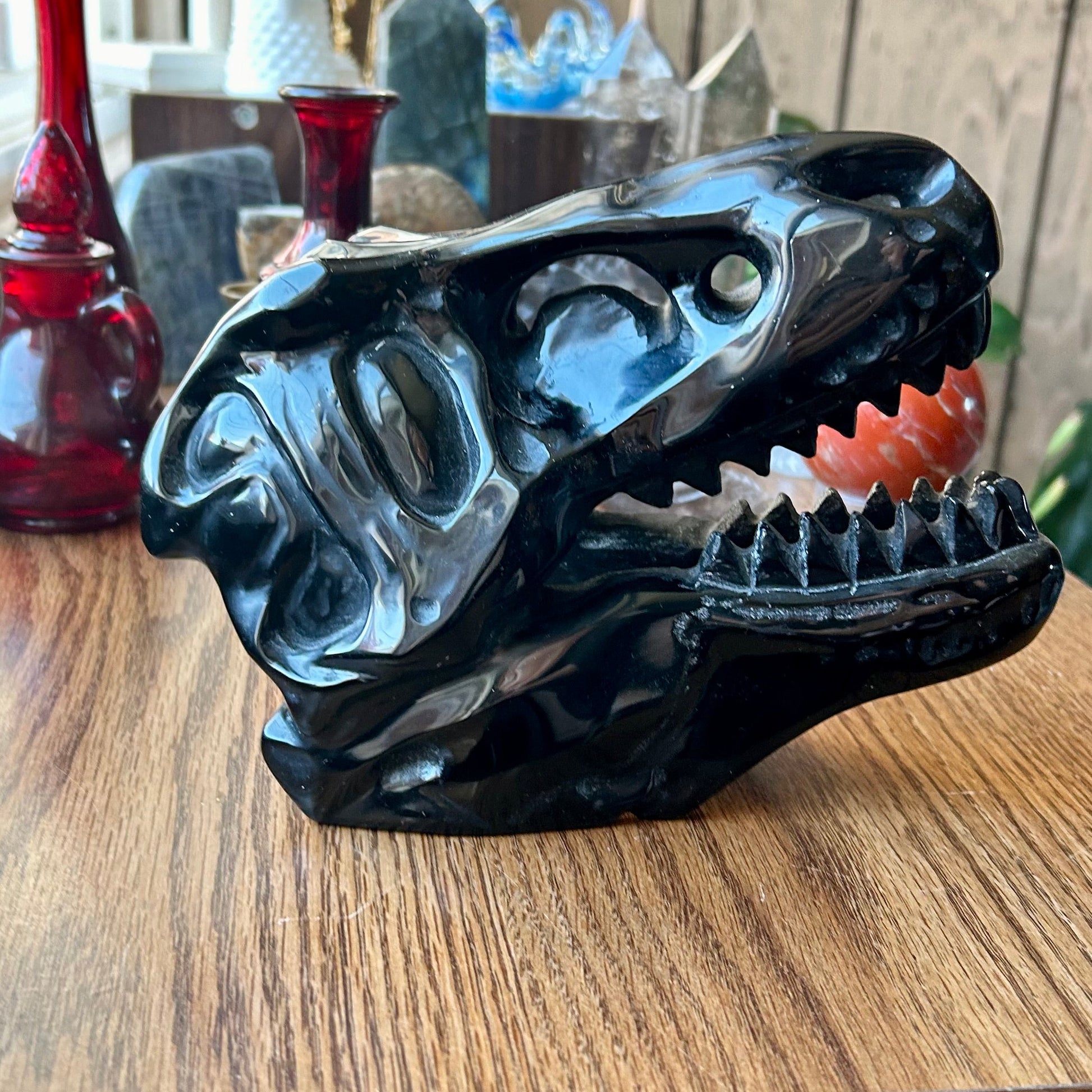 Black dinosaur skull model on a wooden surface with a blurred background