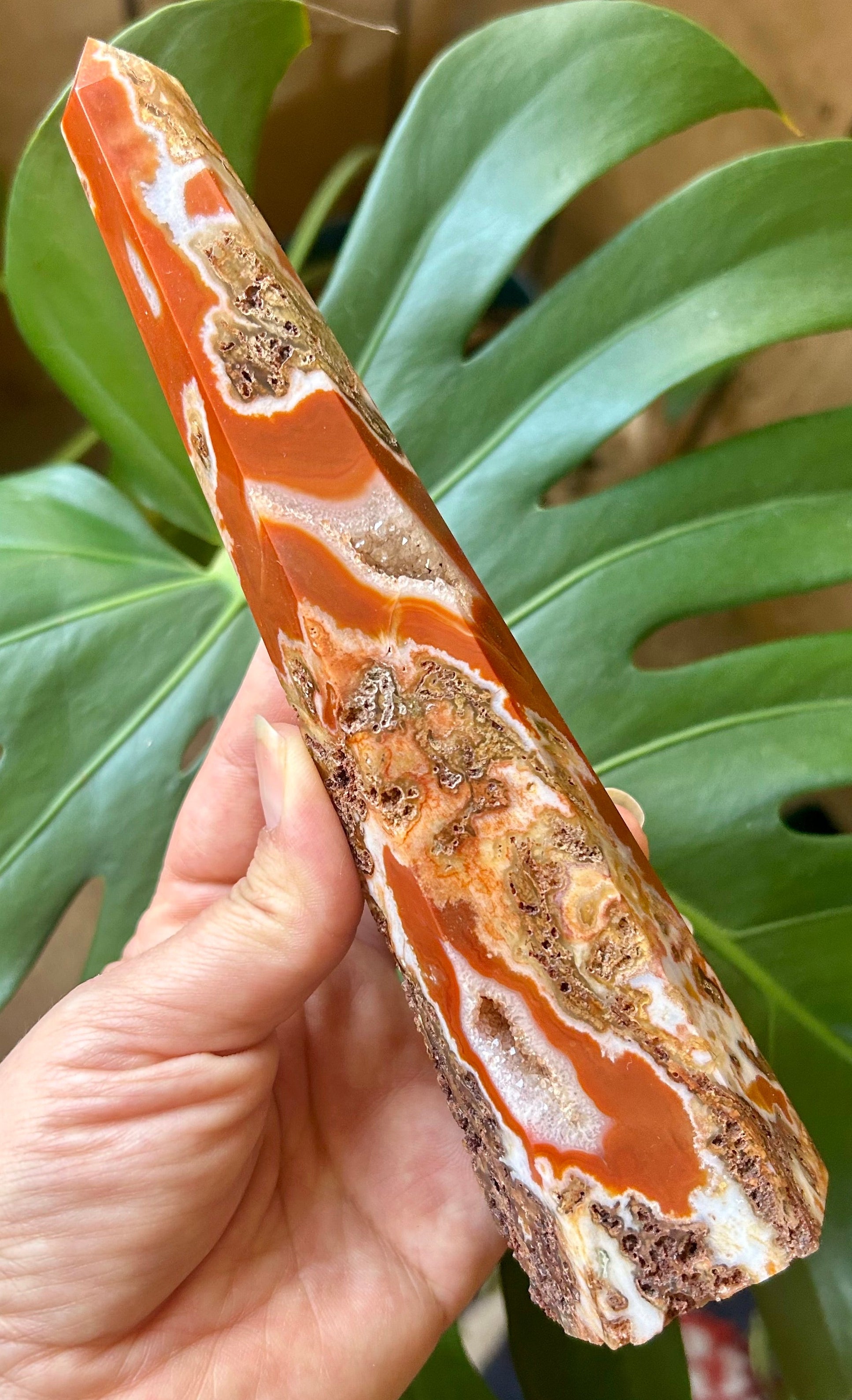 Hand holding a patterned stone in front of a green leafy plant