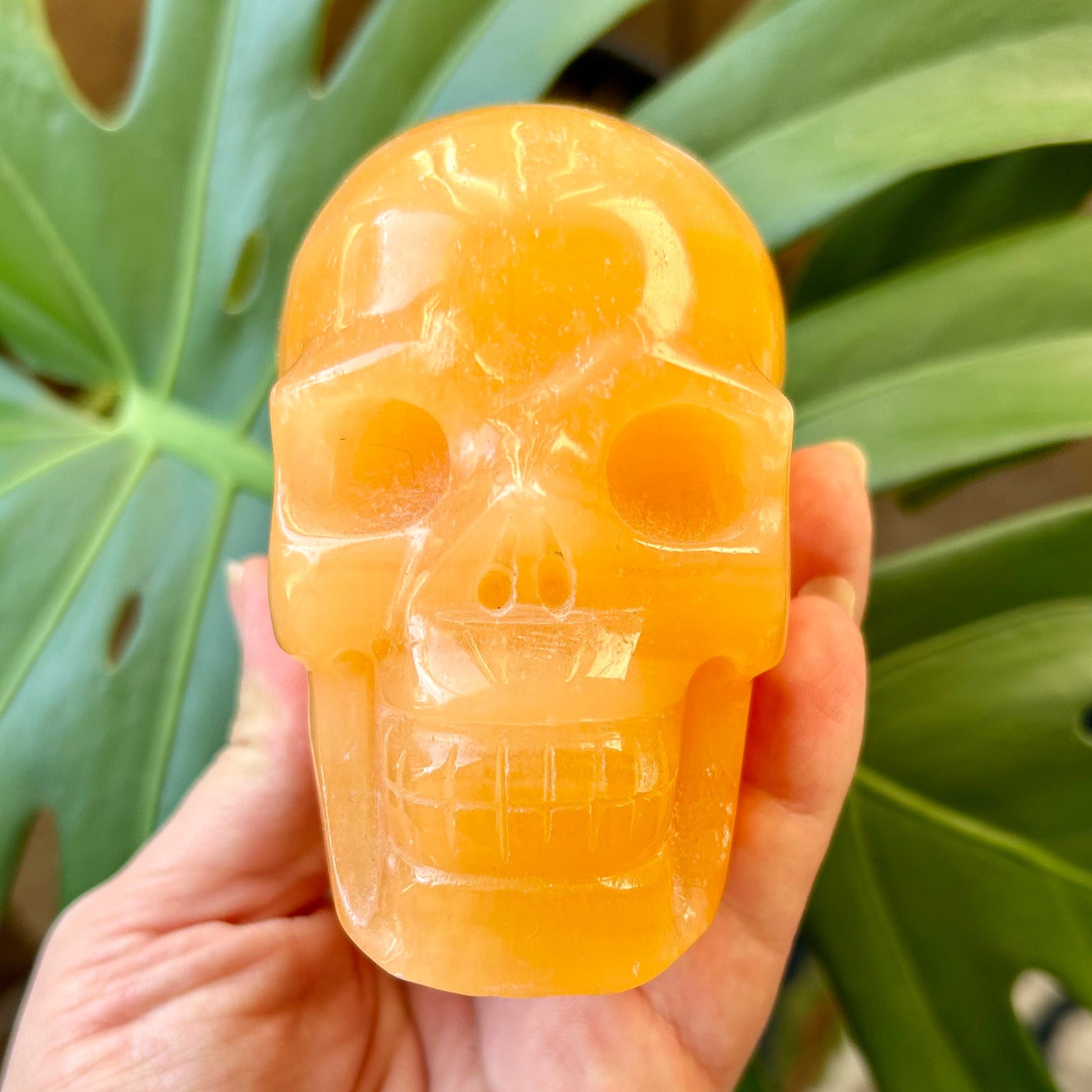 Hand holding a yellow crystal skull against a green leafy background