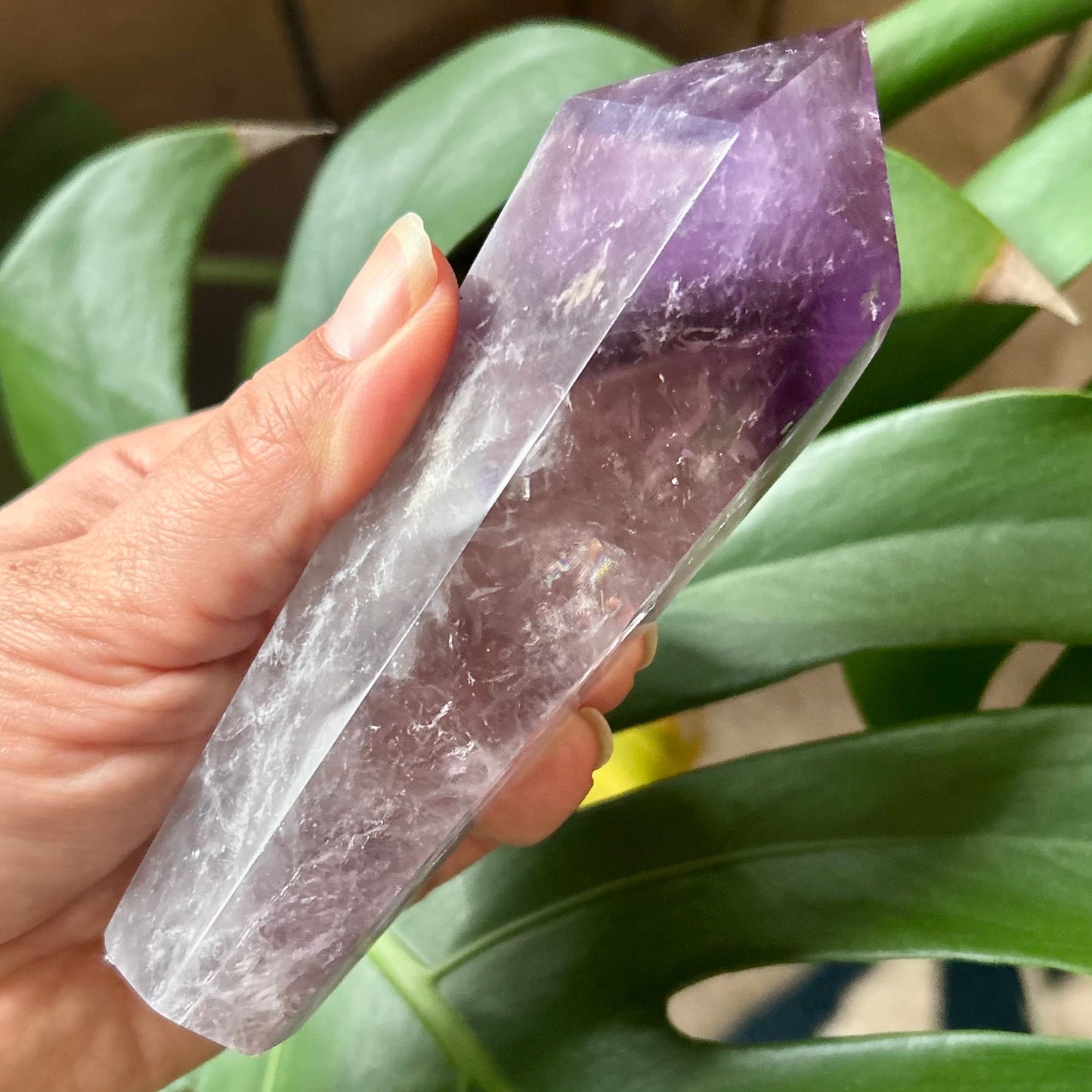 Hand holding a purple crystal against a green leafy background