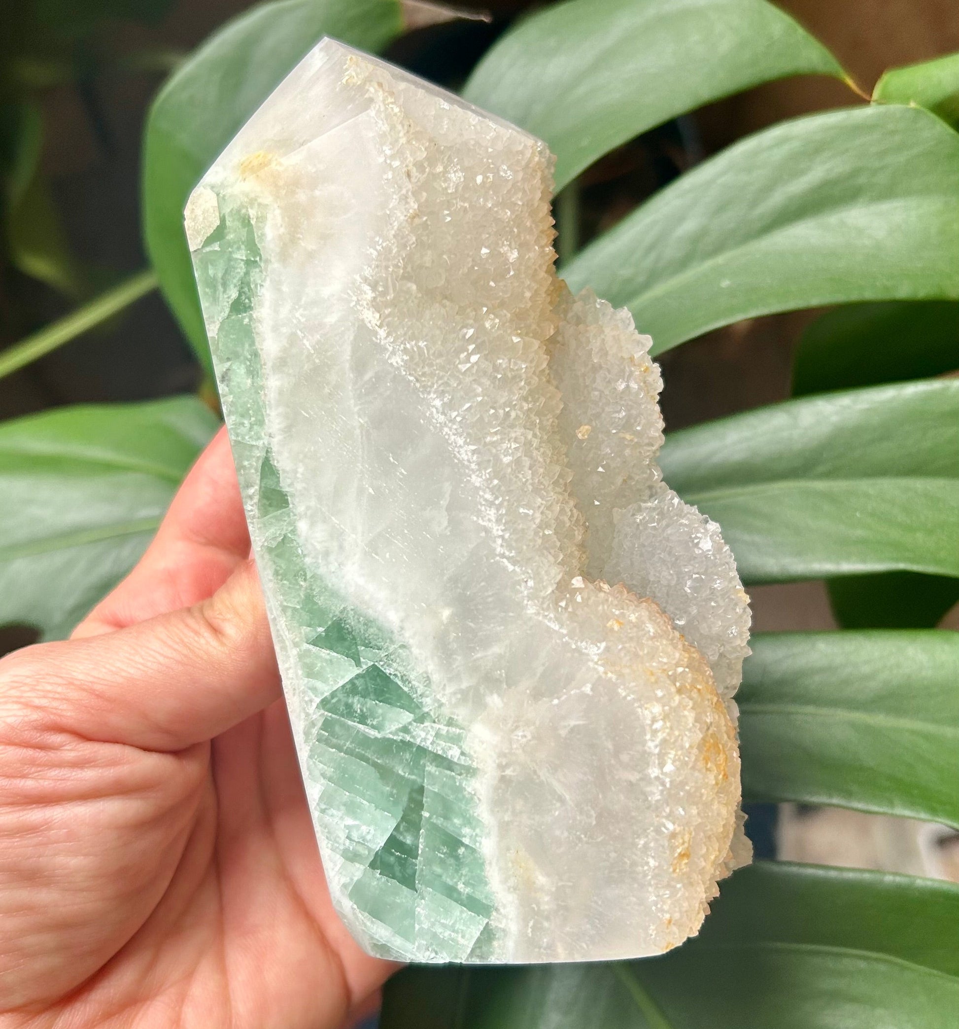 Crystal rock held by a hand with green leaves in the background