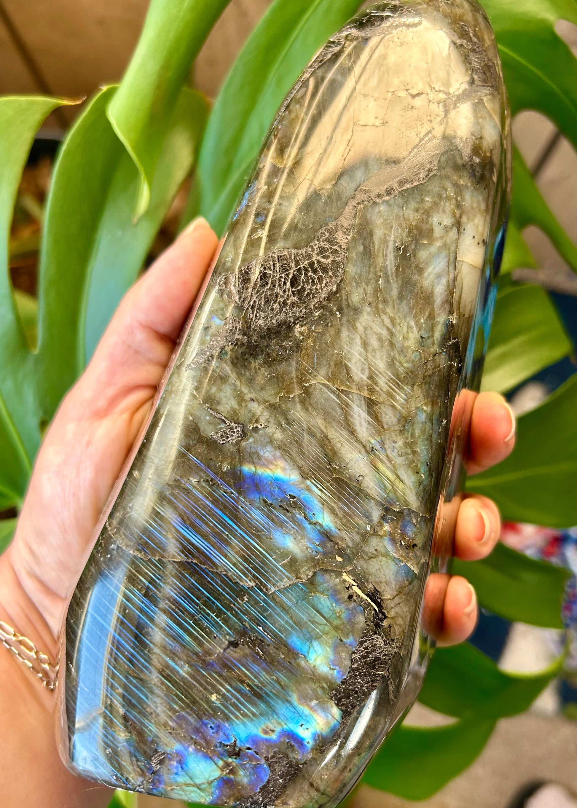 Hand holding a large, polished labradorite crystal with iridescent properties against a green leafy background.