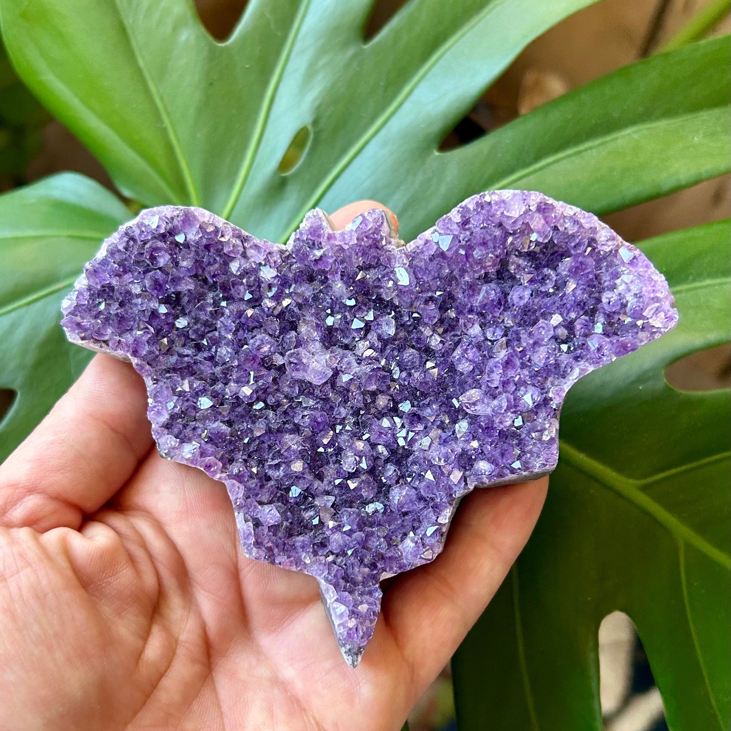 Hand holding a purple crystal rock with green leaves in the background